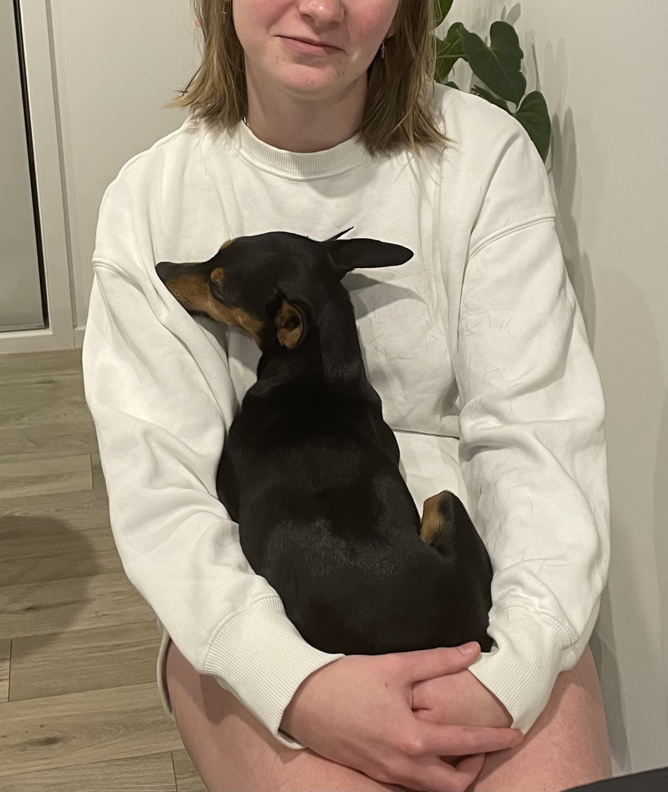 image-6