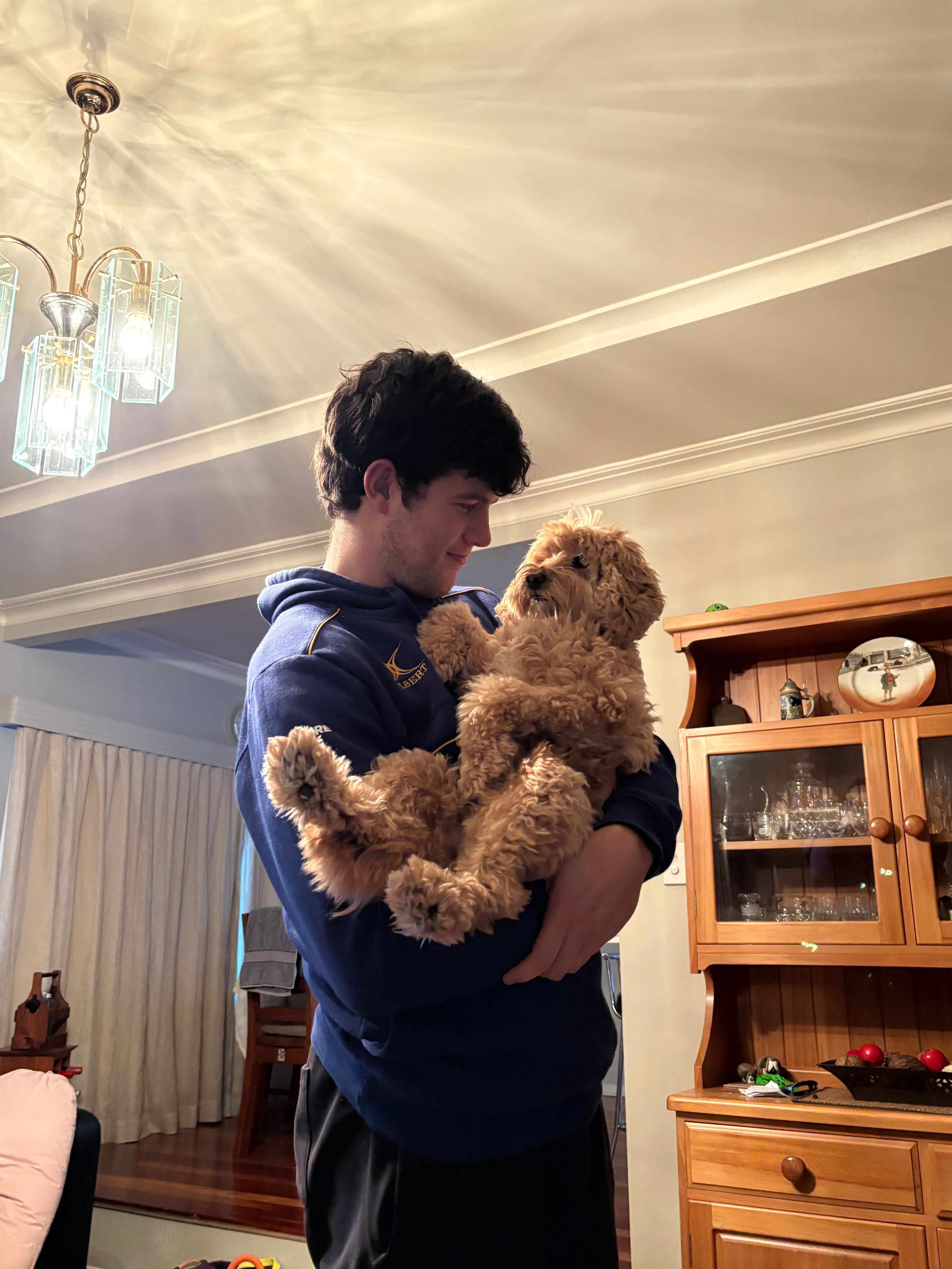 image-10