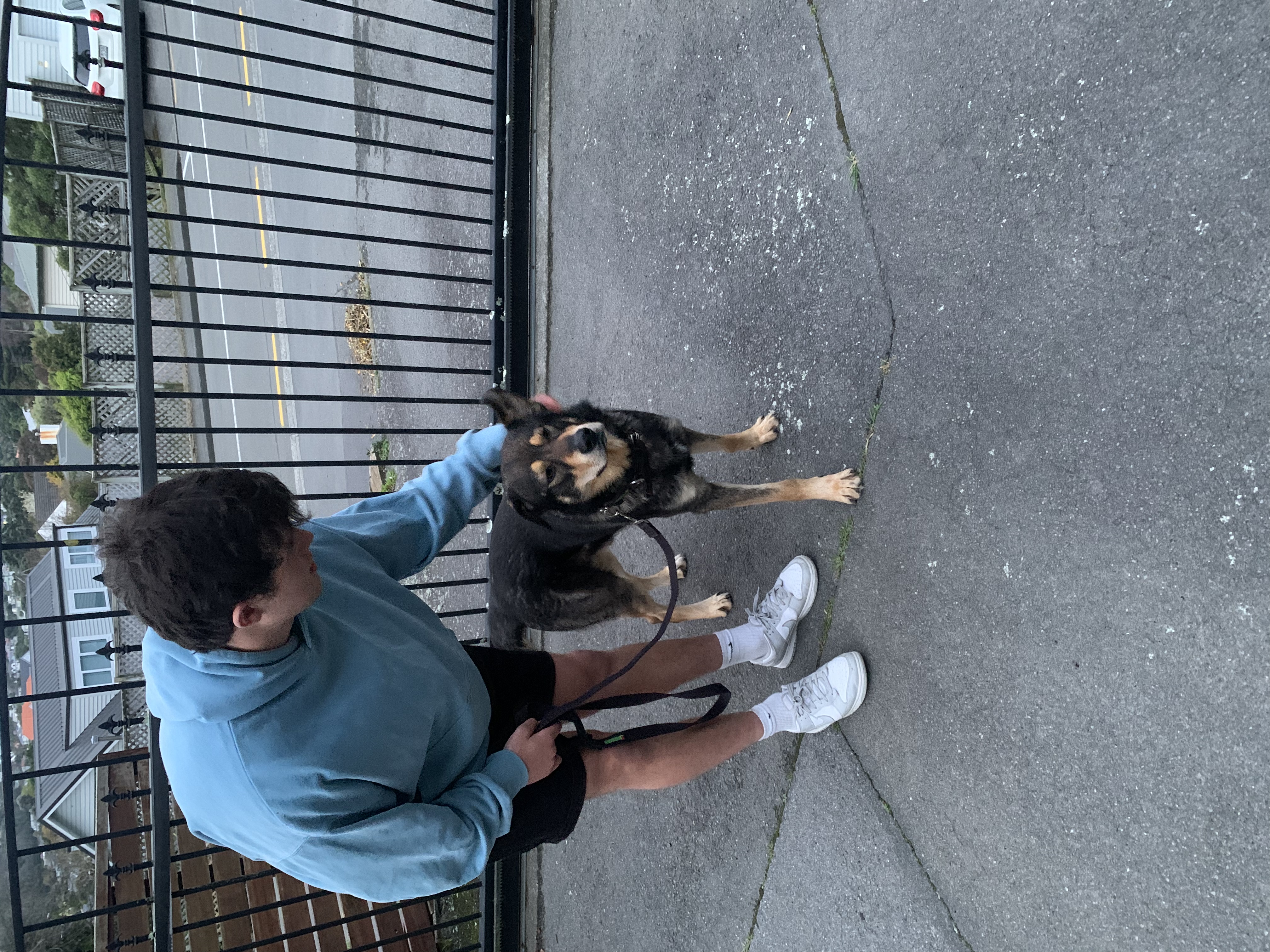 image-9