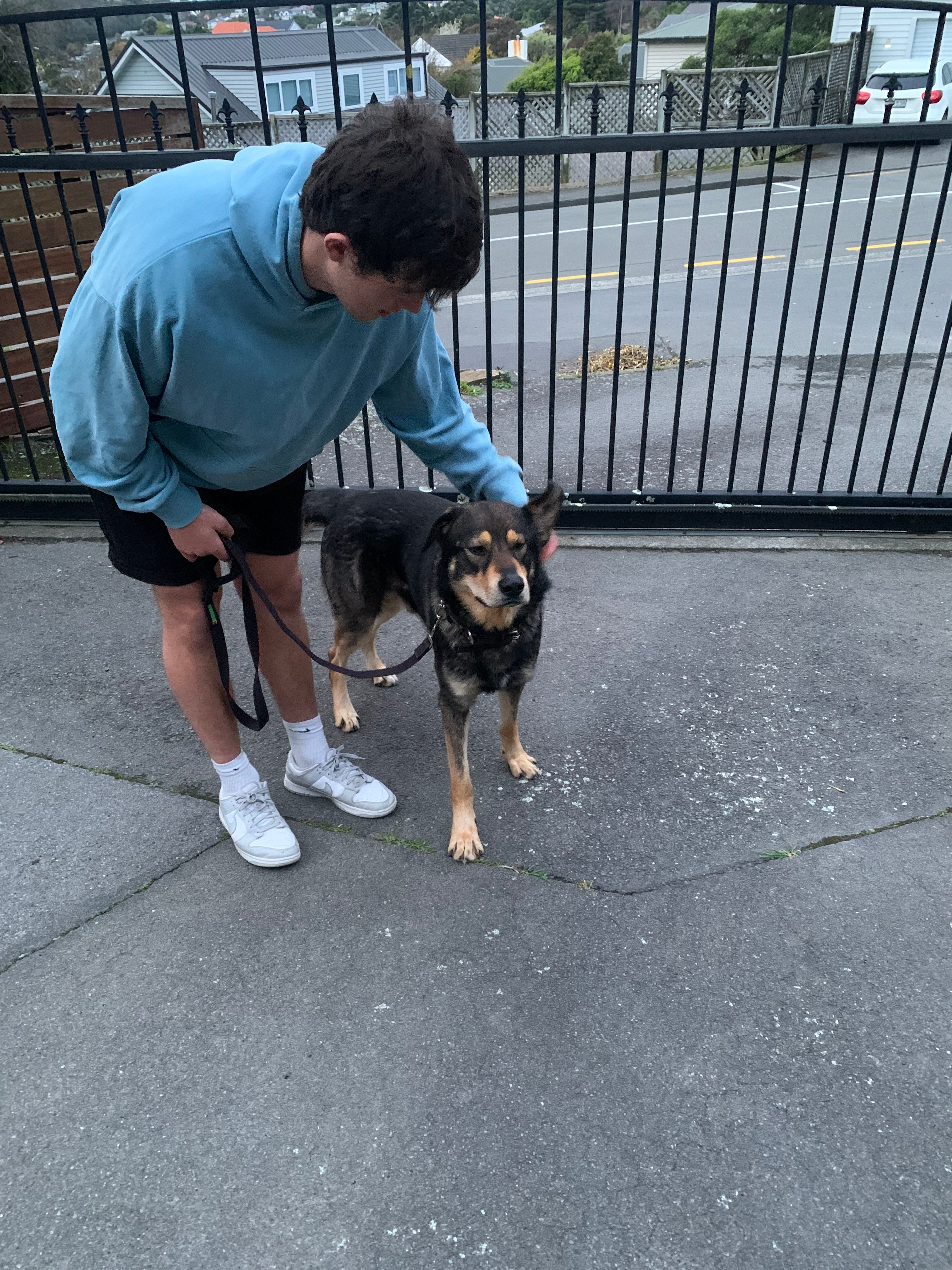 image-9