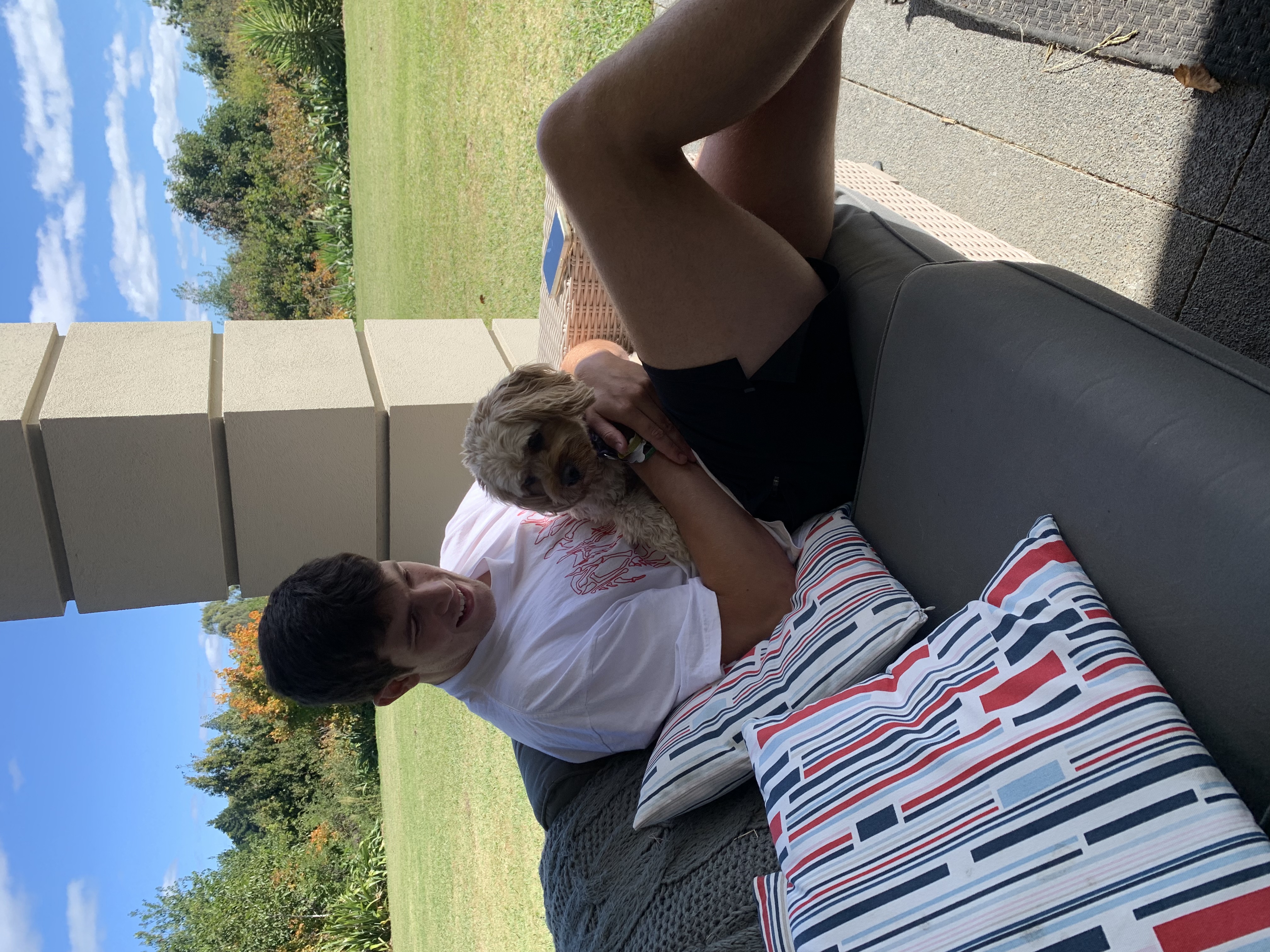 image-6