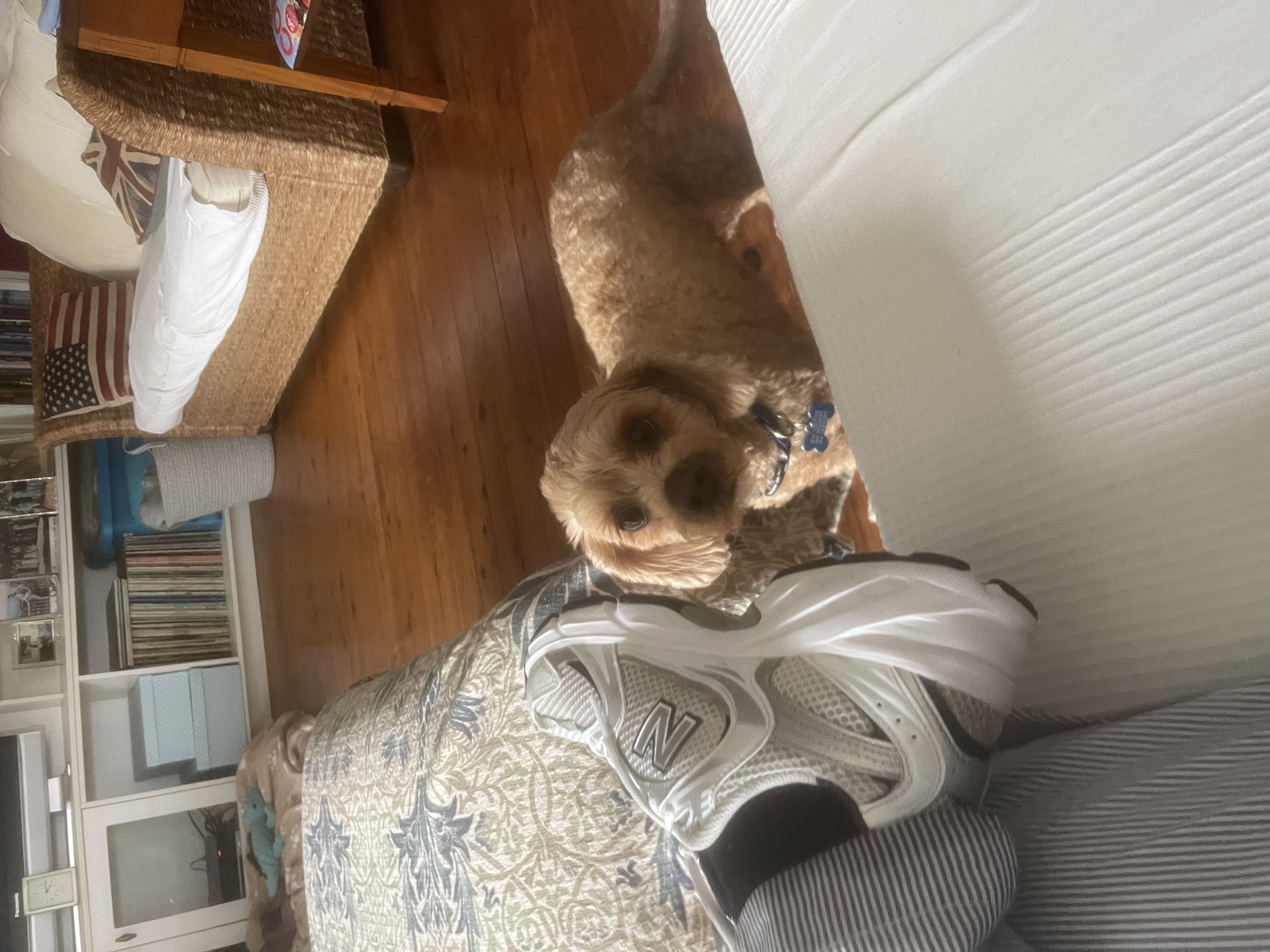 image-8