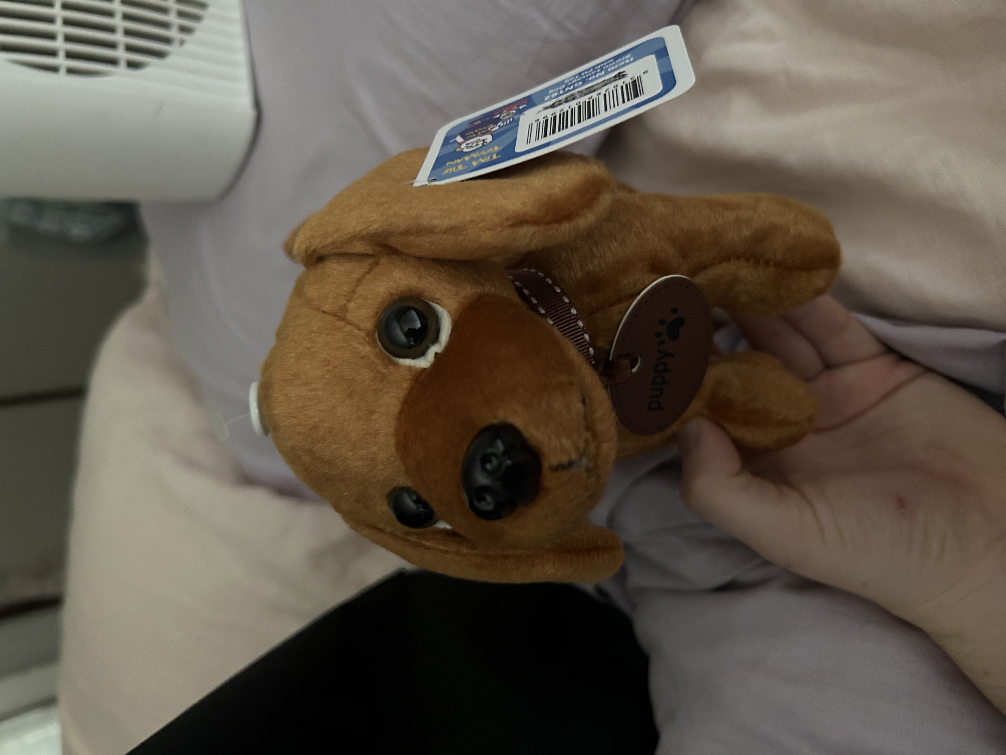 image-9