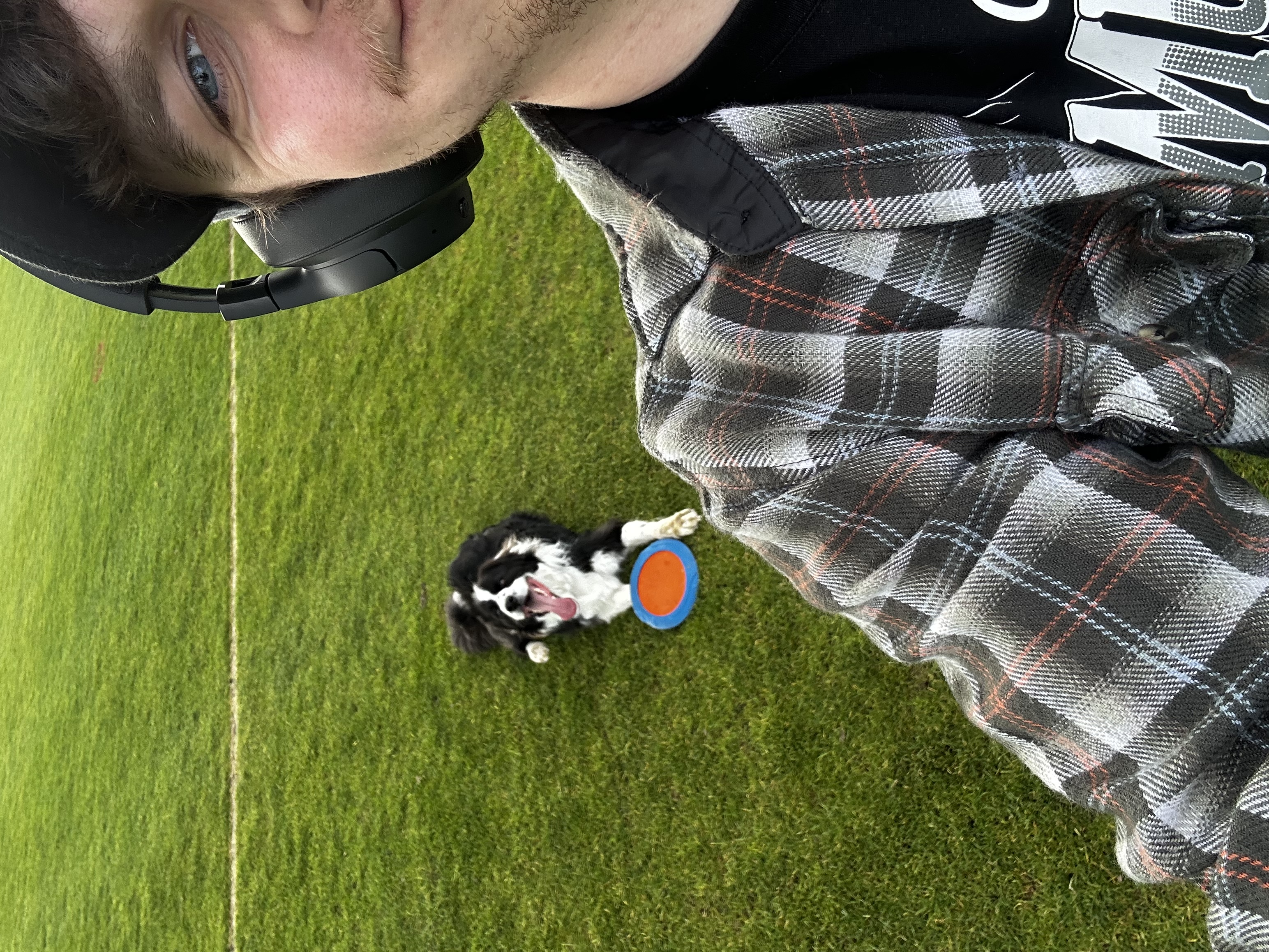 image-6
