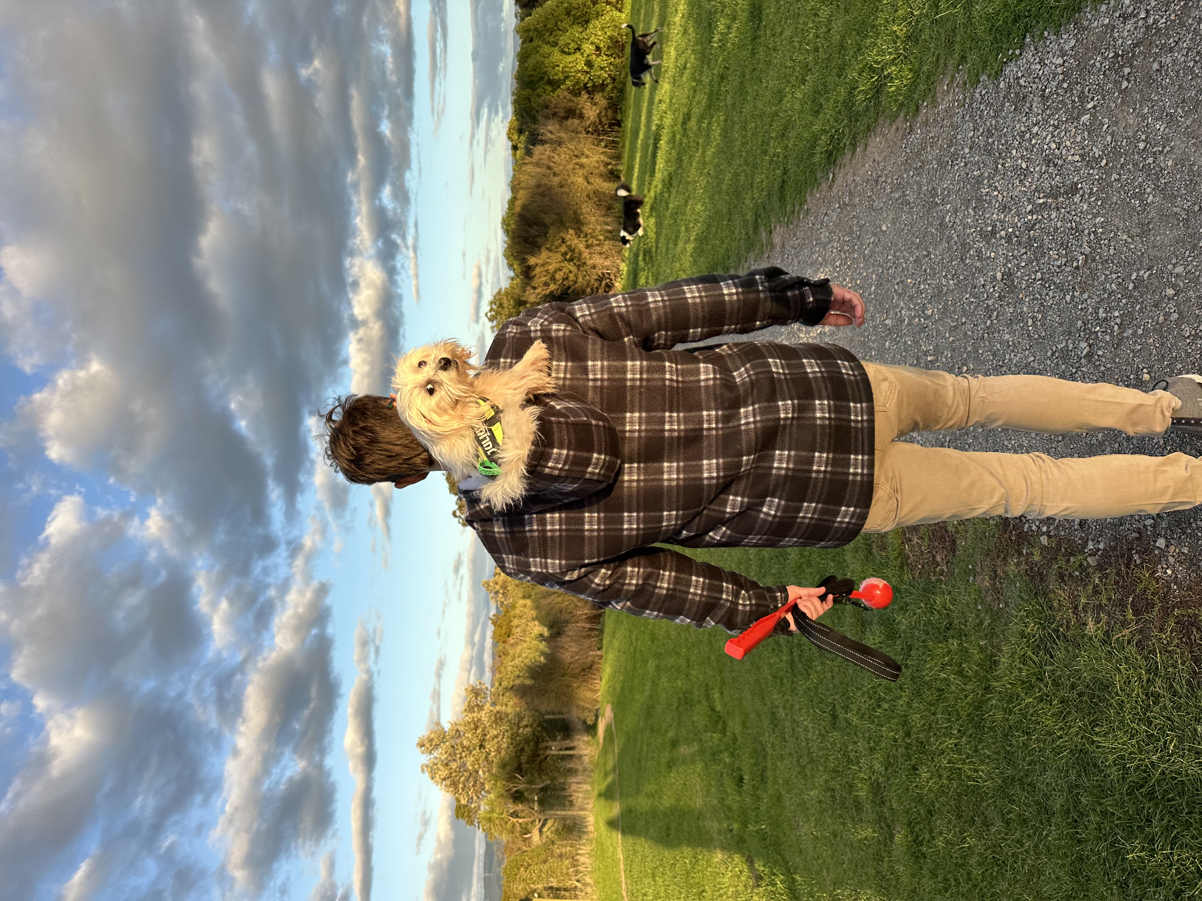 image-5