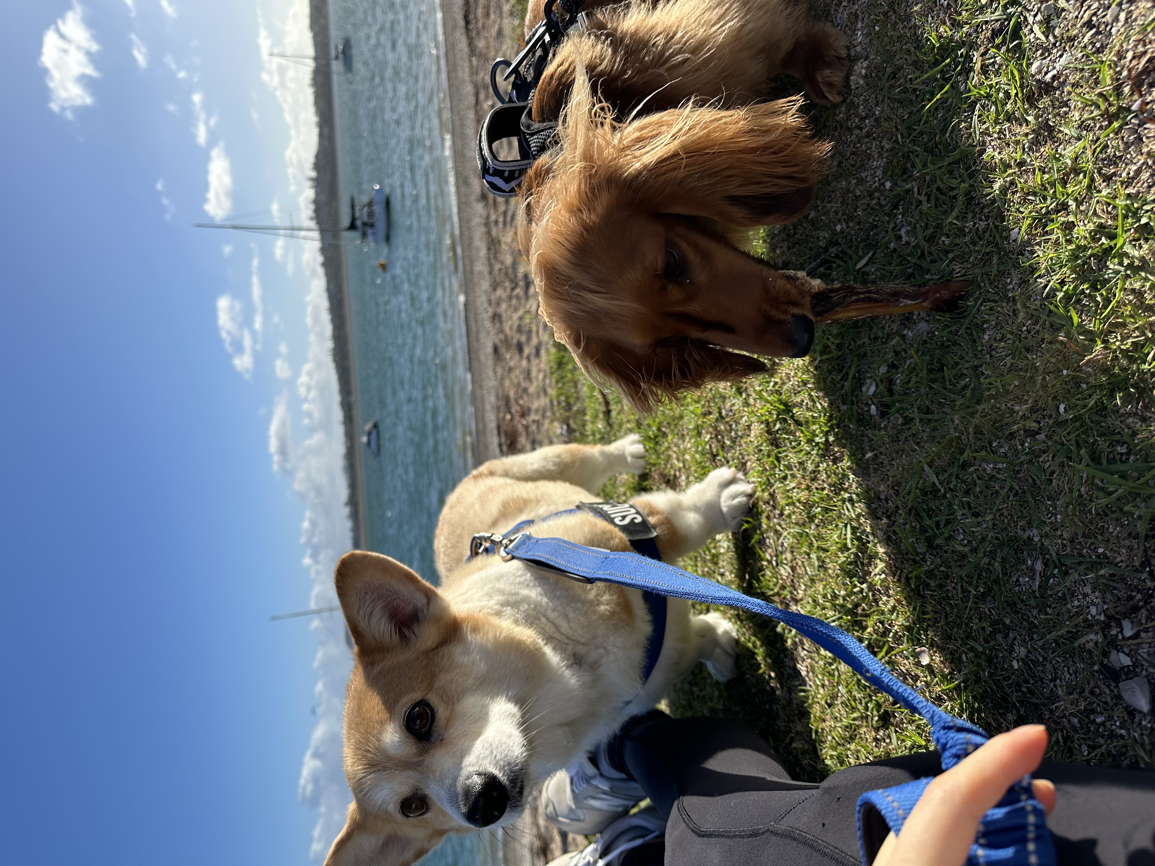 image-12