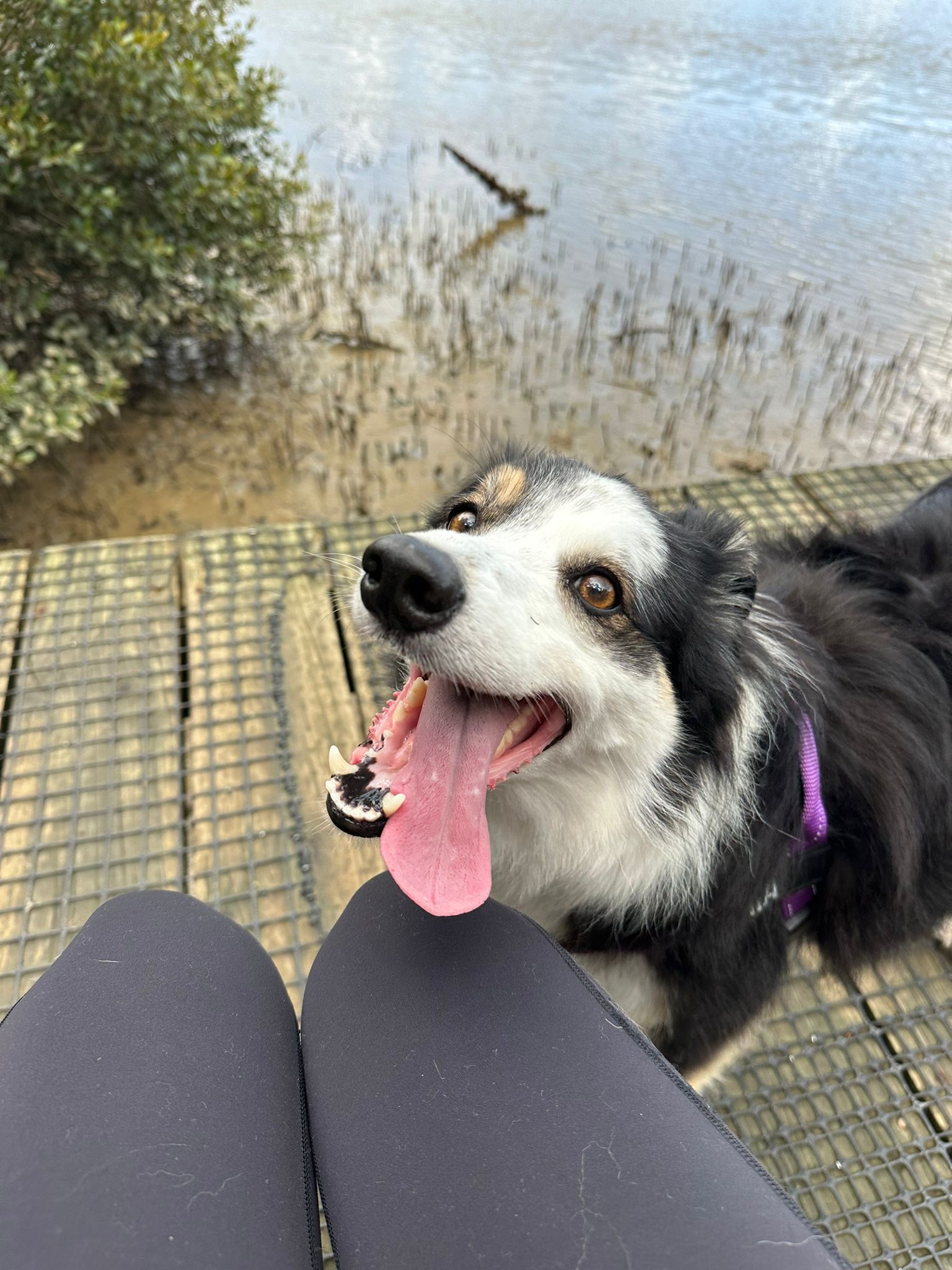 image-0