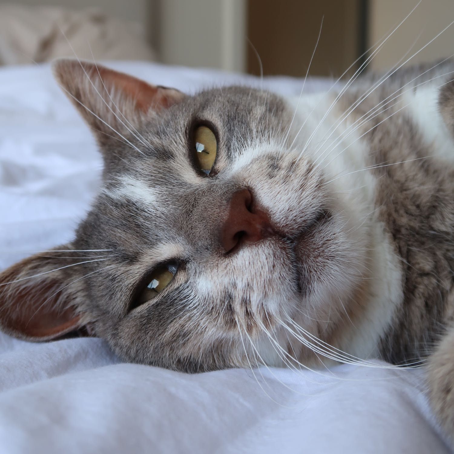 Narla