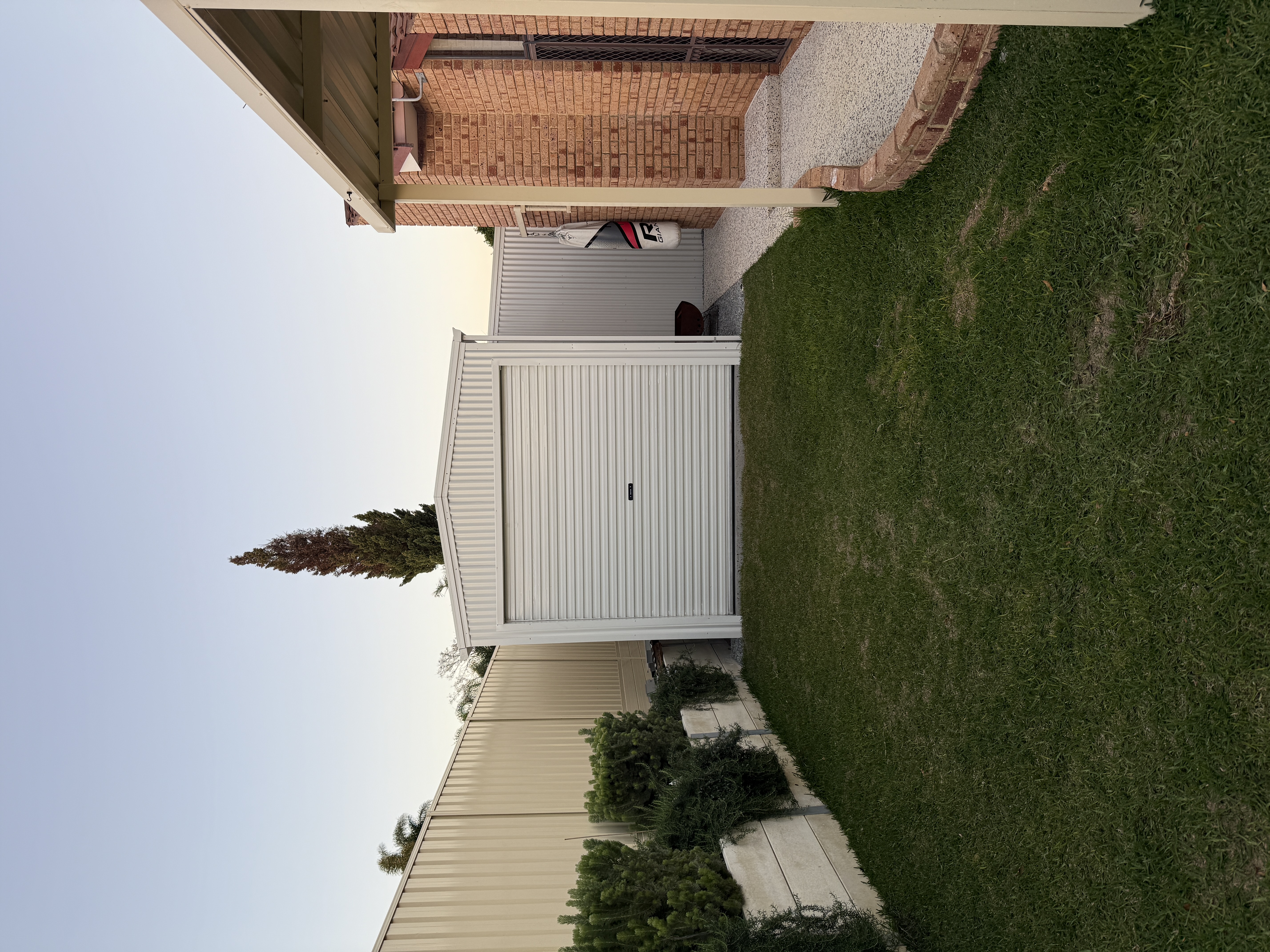 image-7