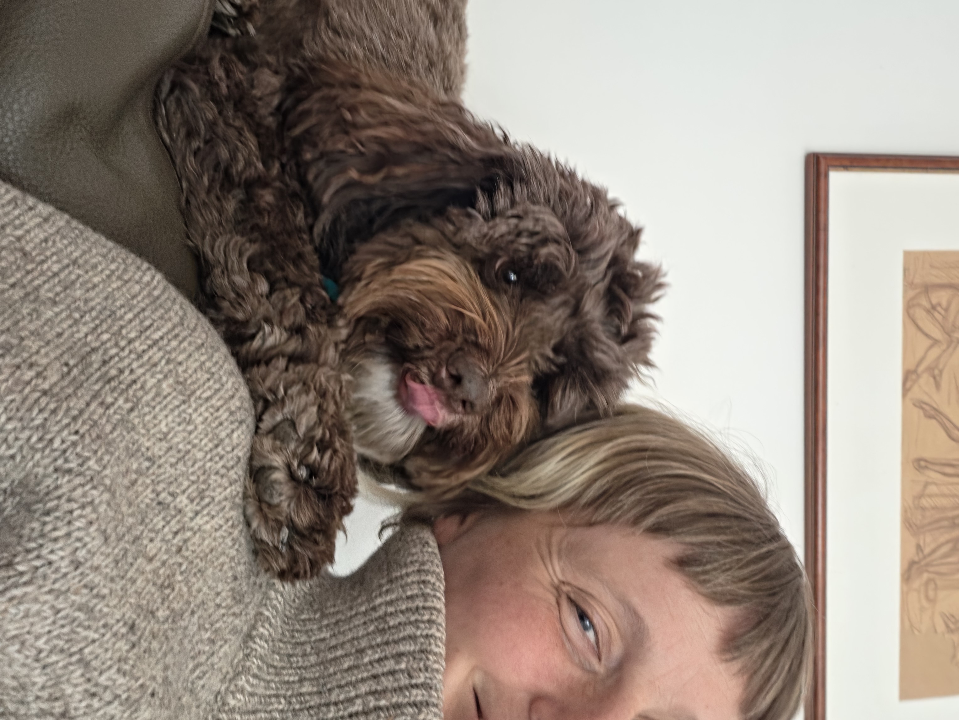 image-17