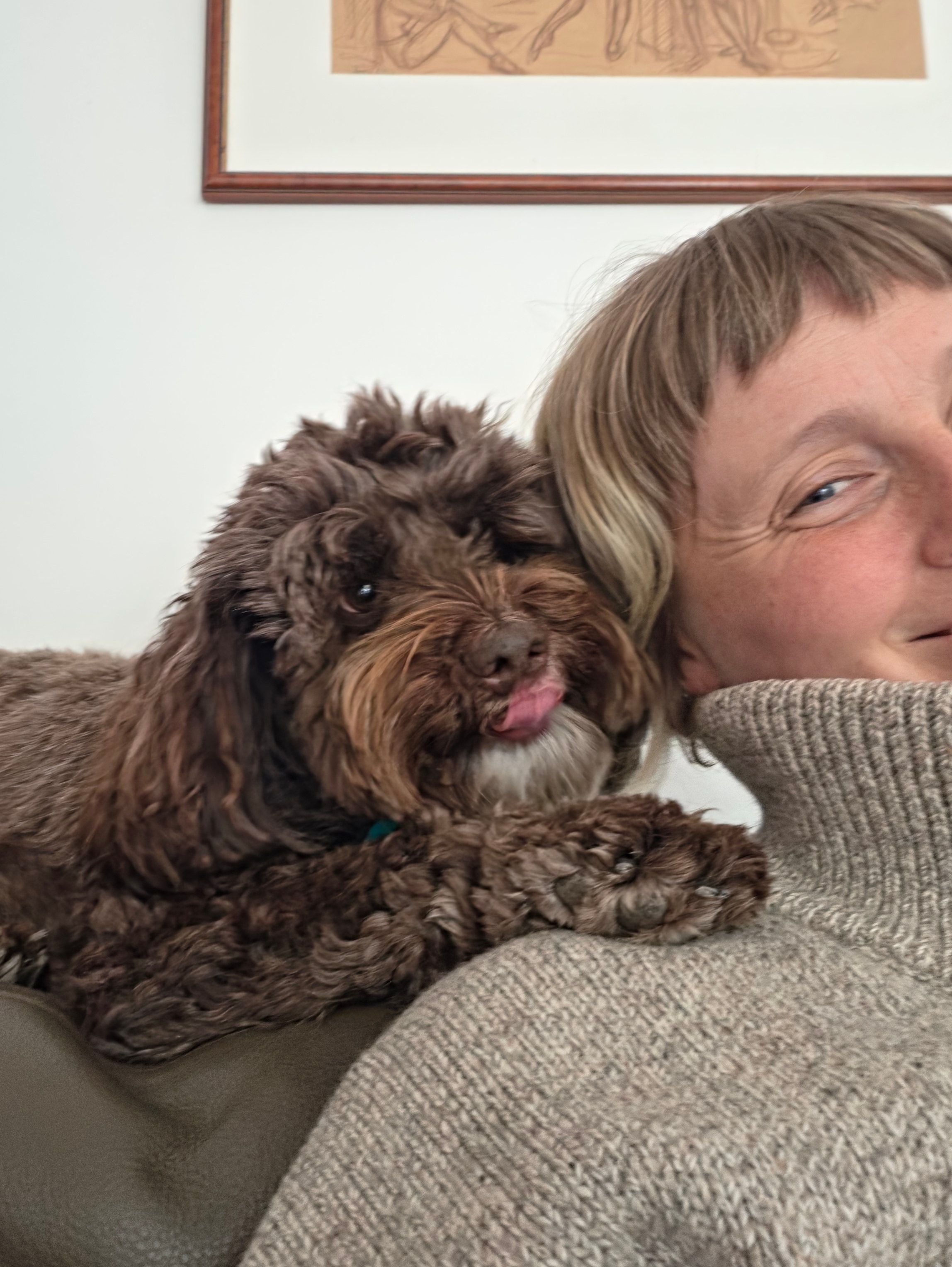 image-17