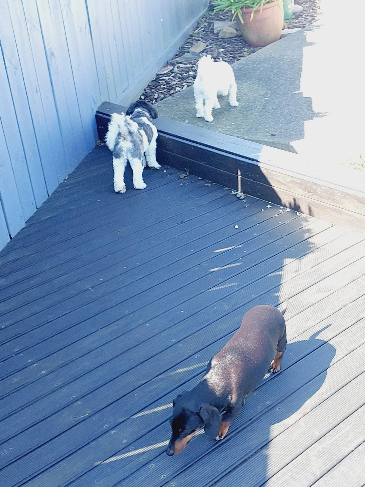 image-7