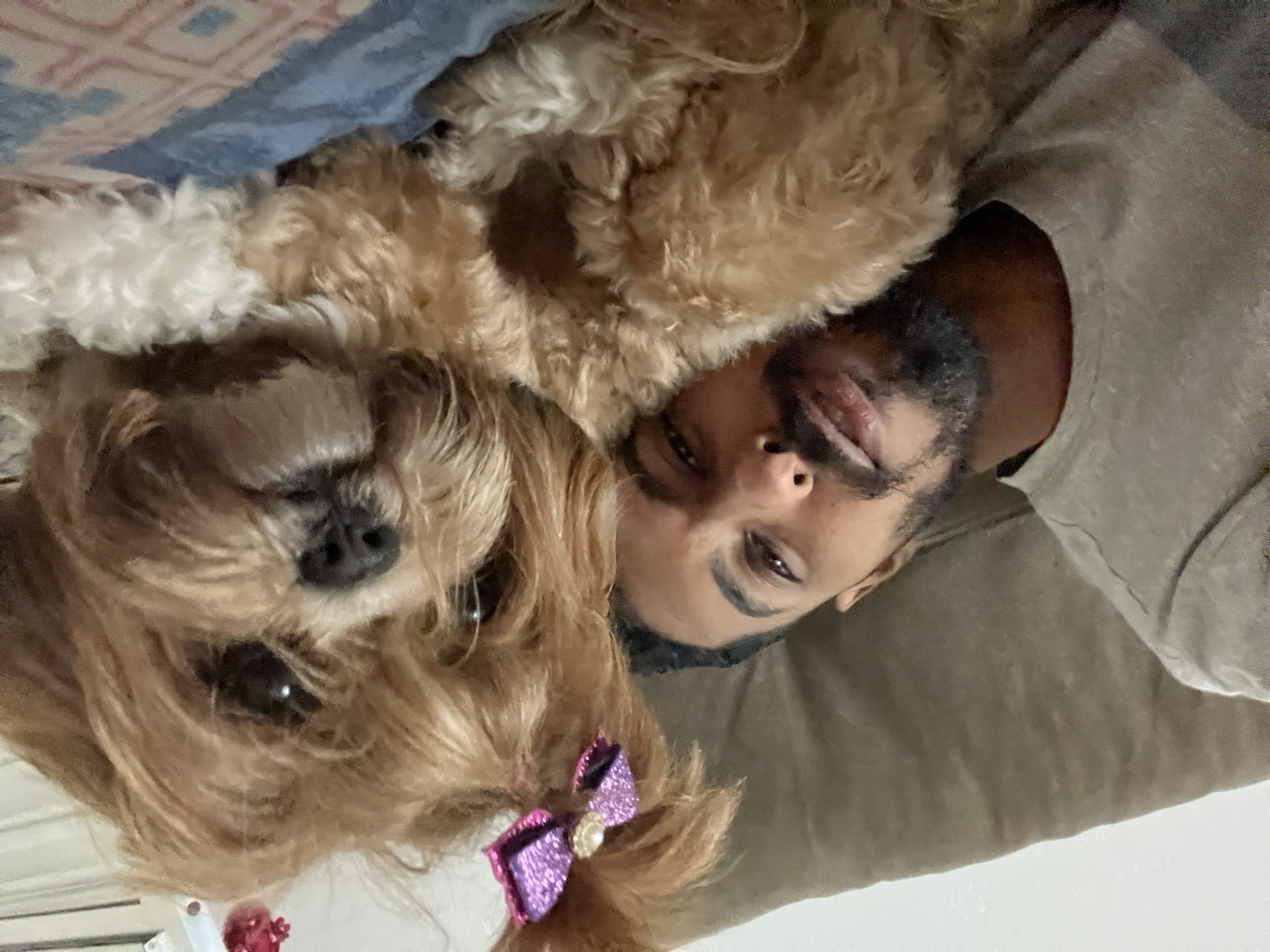 image-4