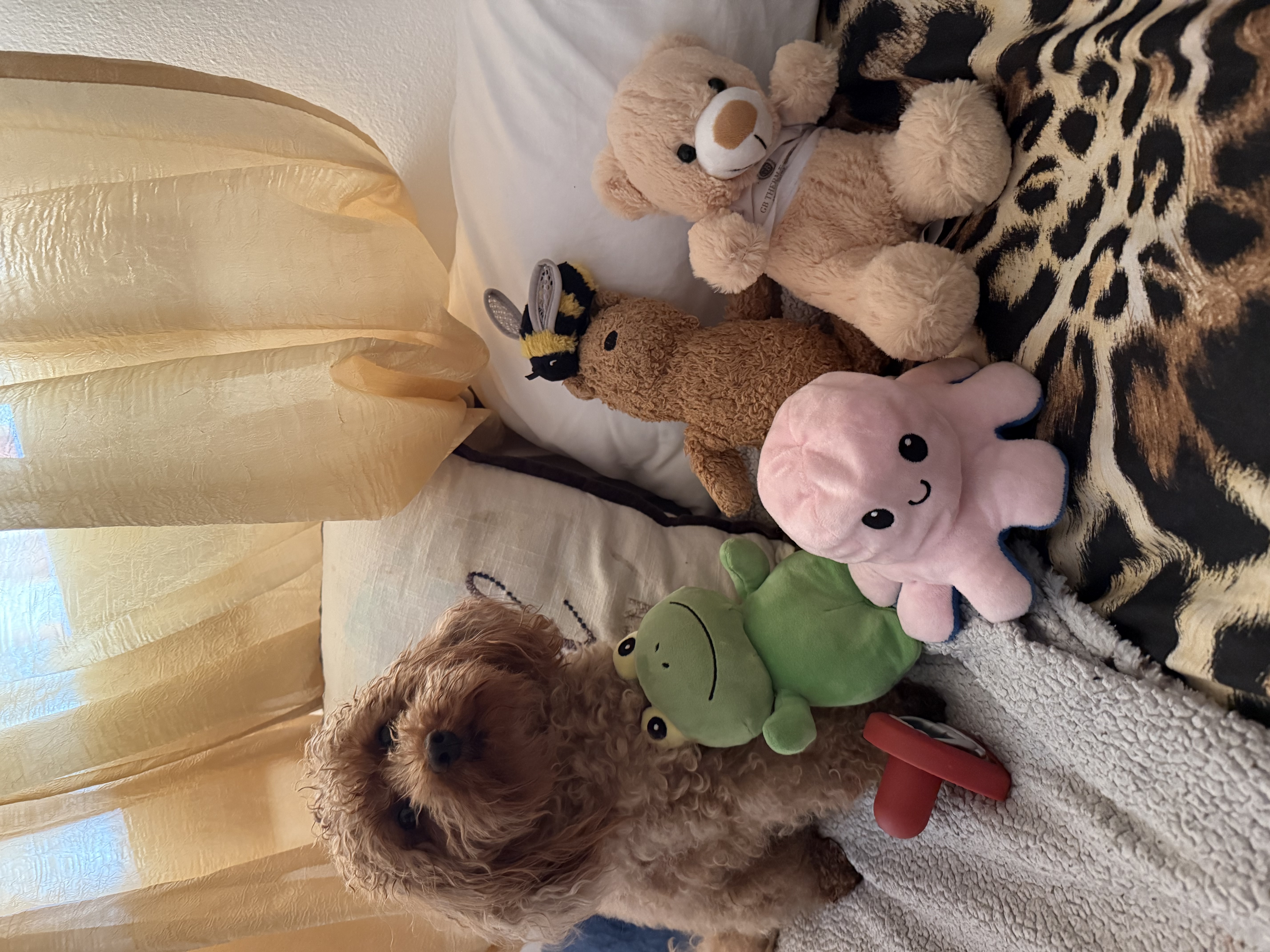 image-9