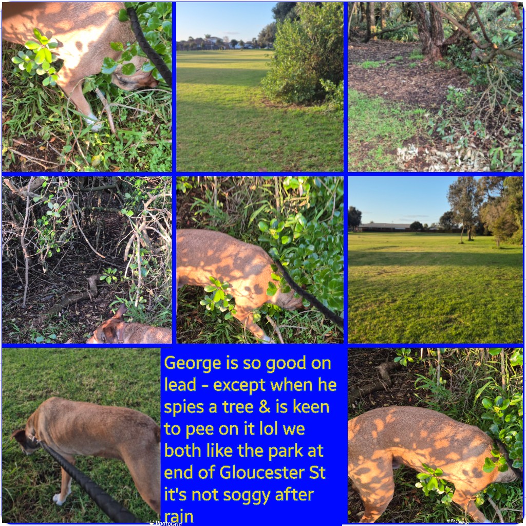 image-38