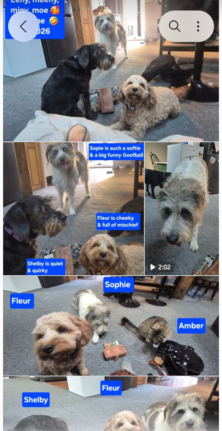 image-10