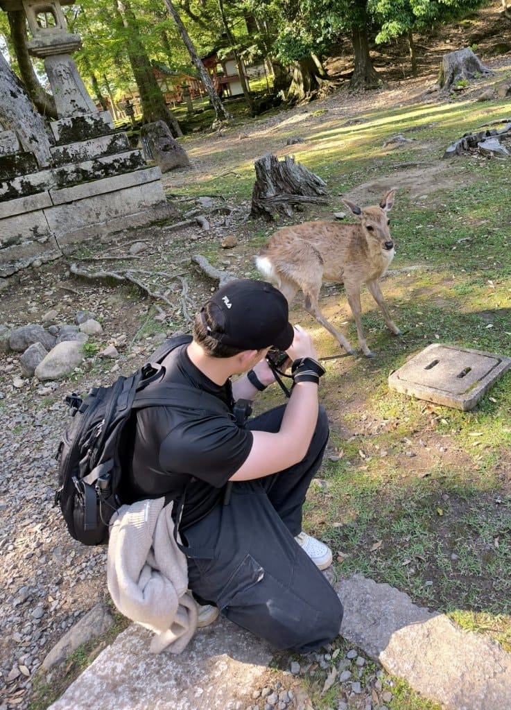 image-10