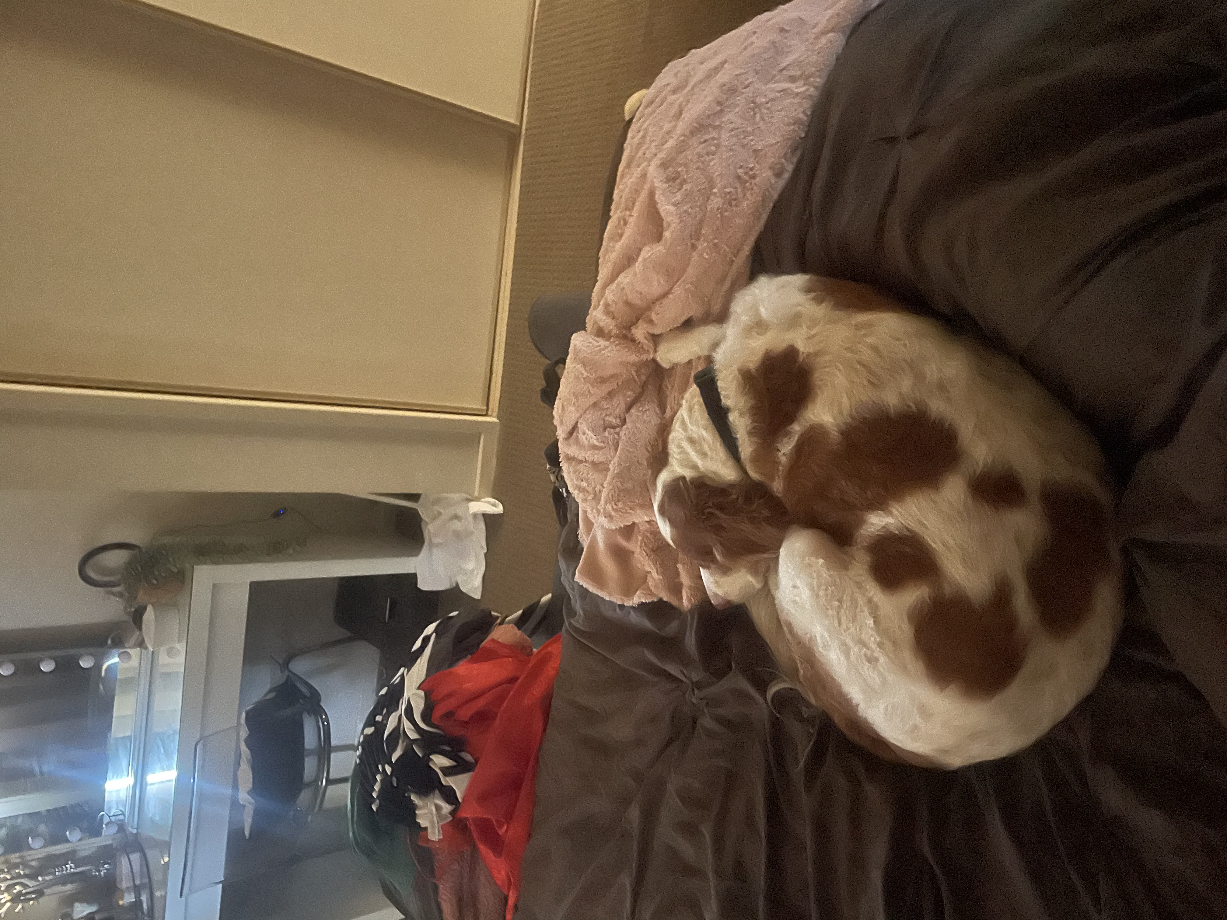 image-4