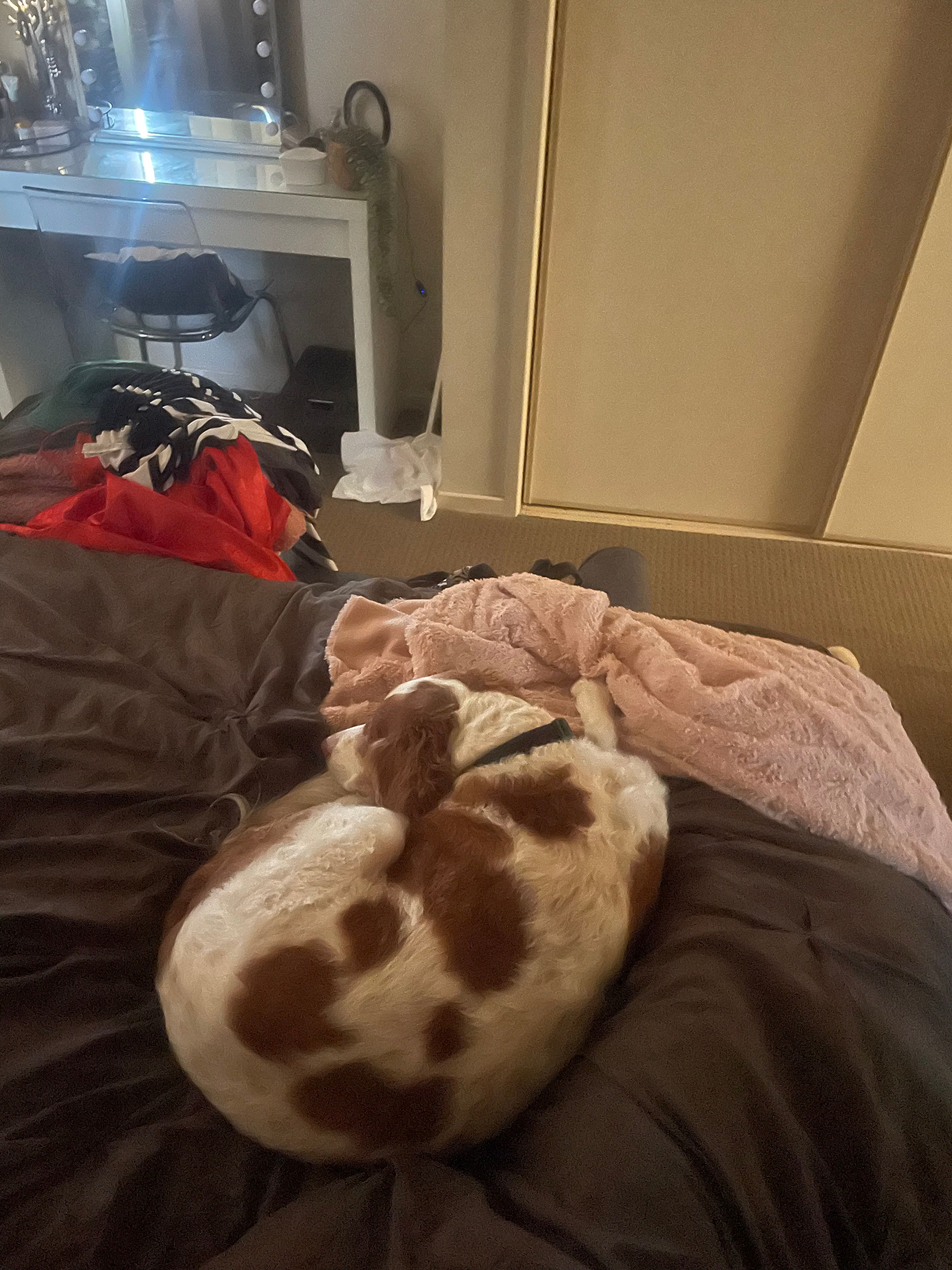 image-4