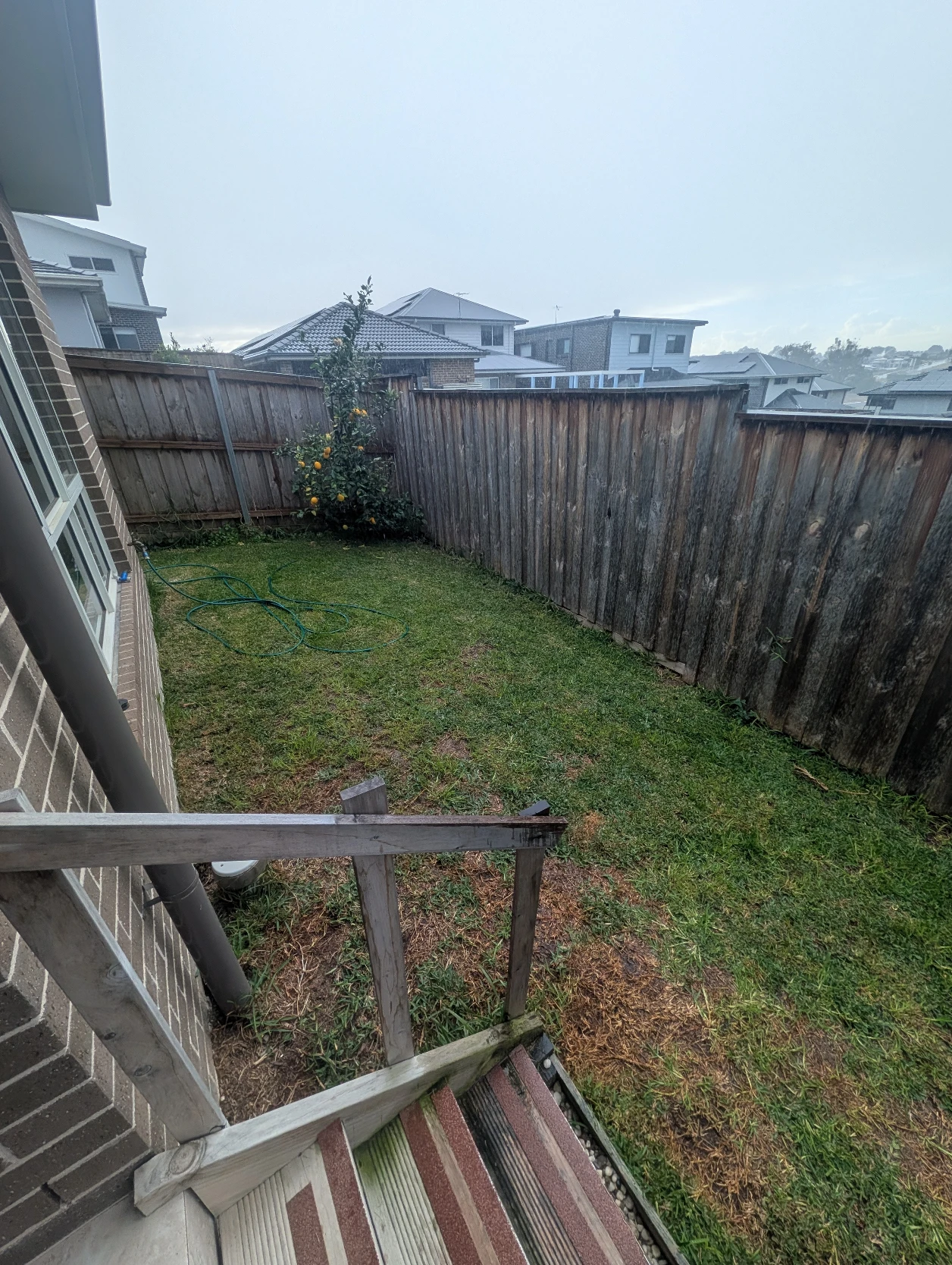 image-15