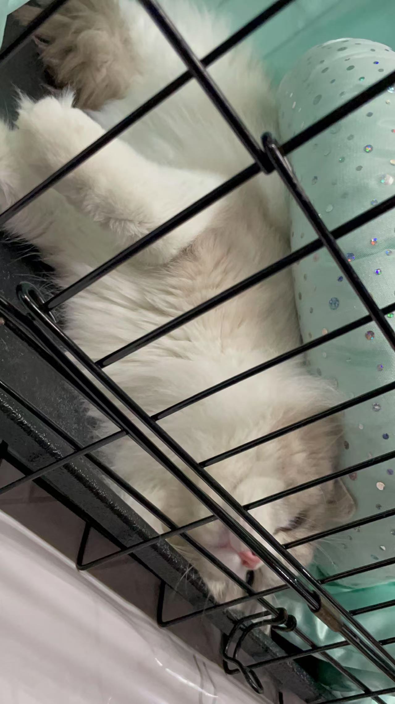 image-14