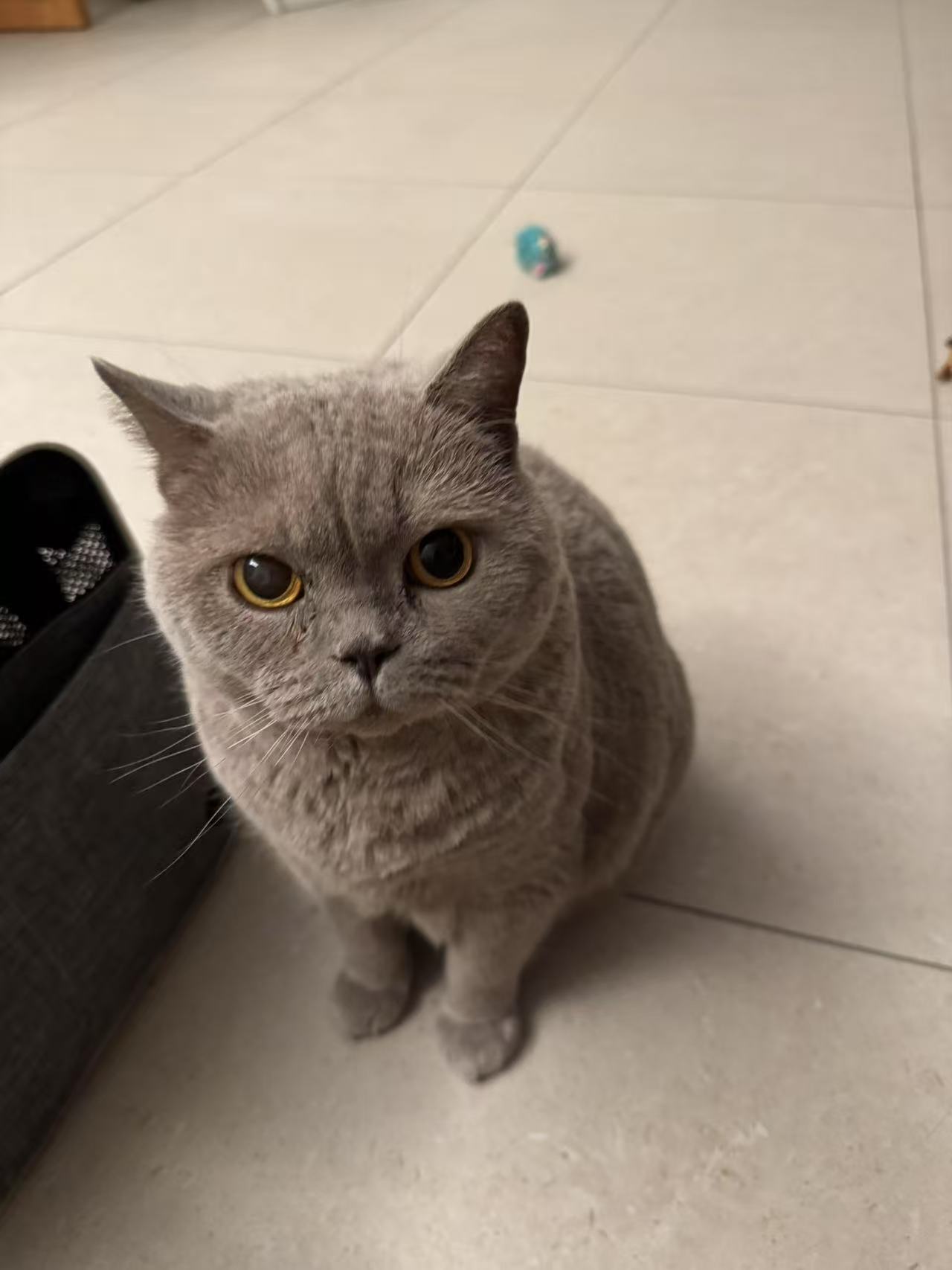 image-6