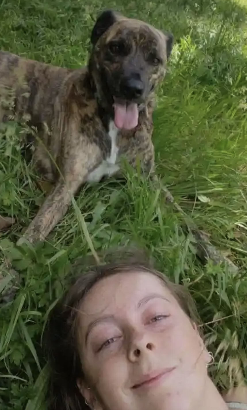 image-6
