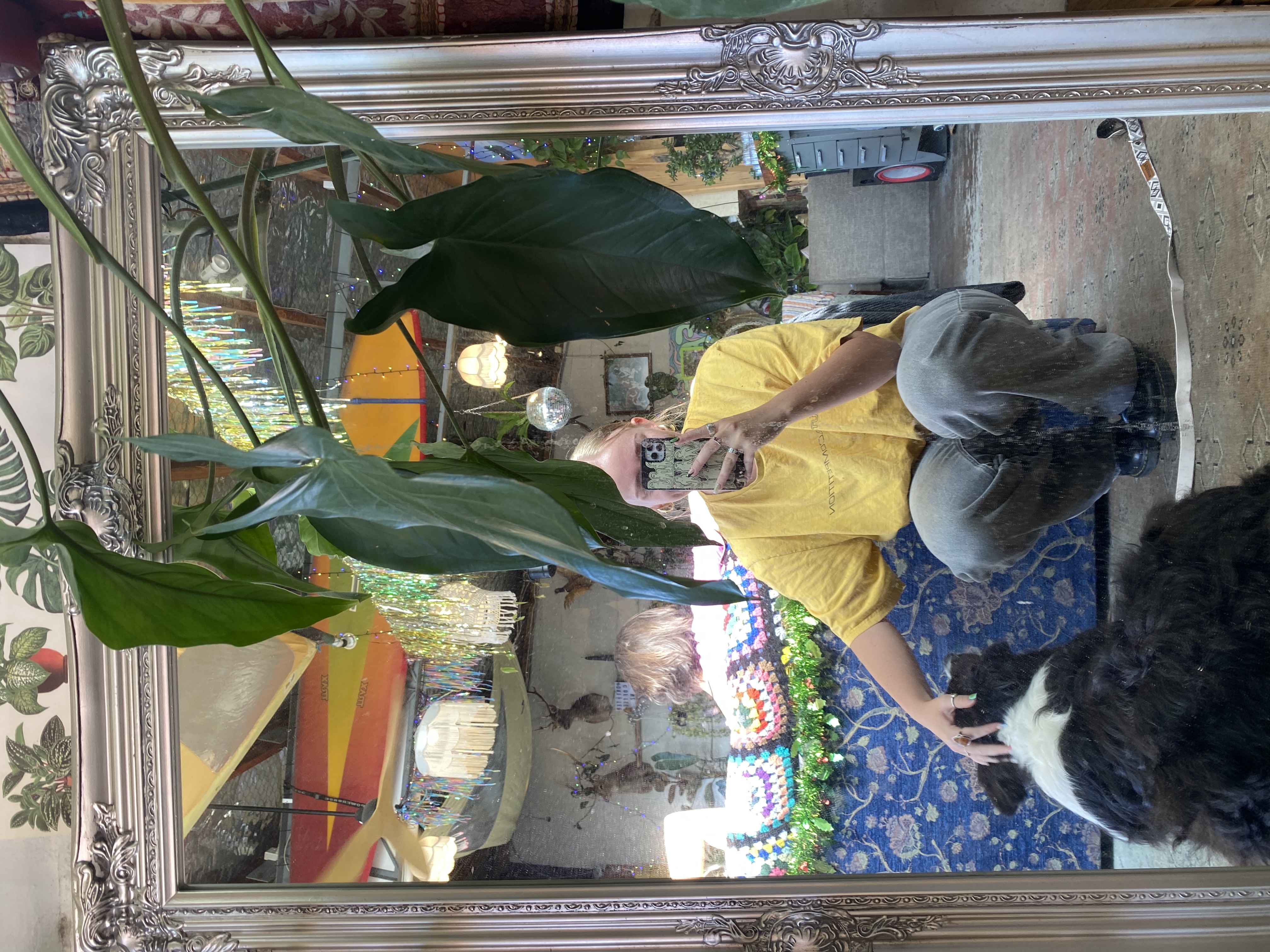 image-7