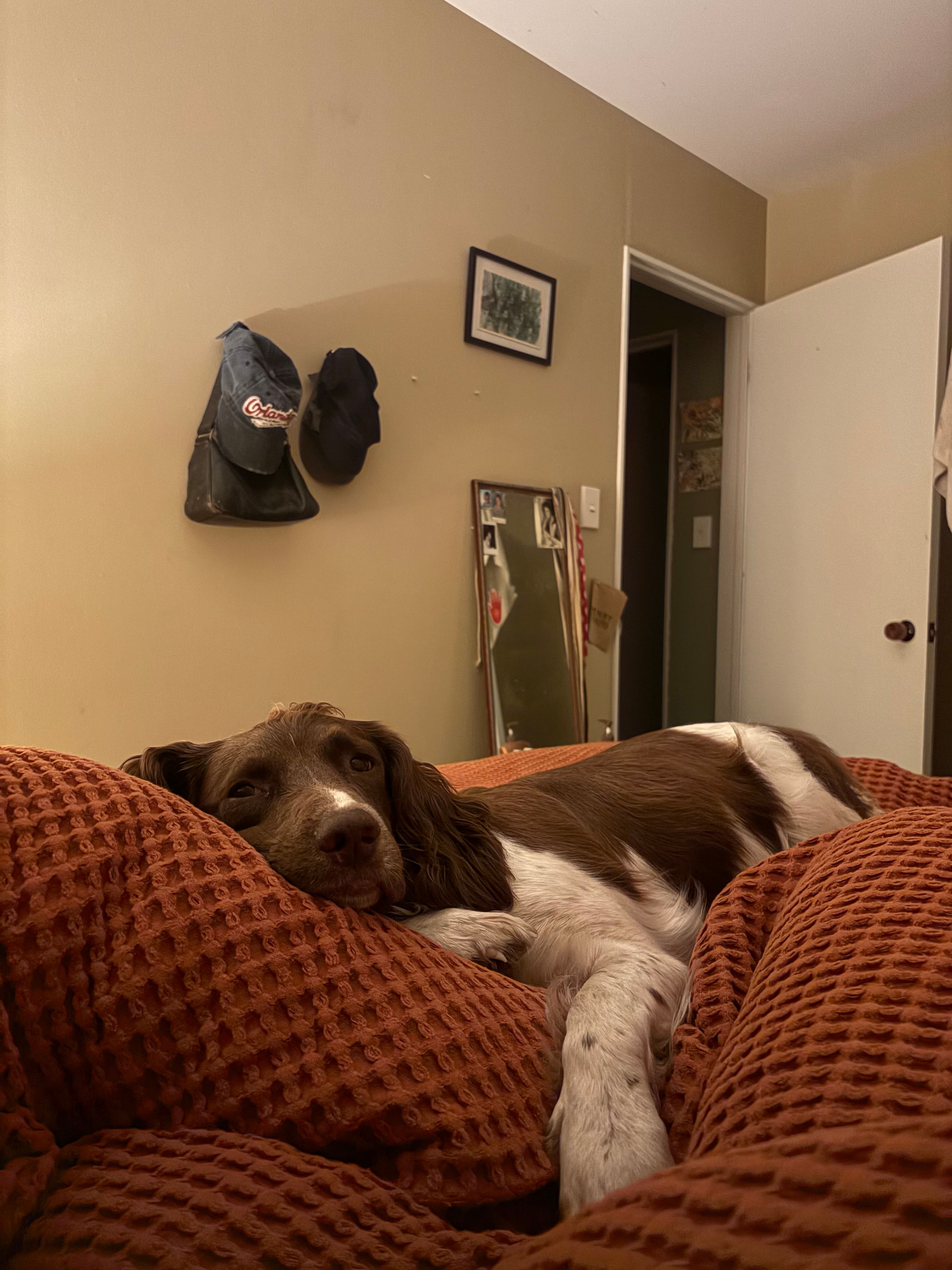 image-13