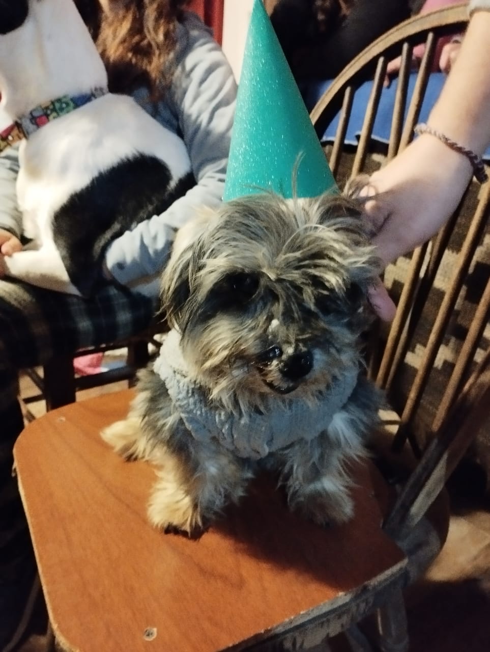 image-12