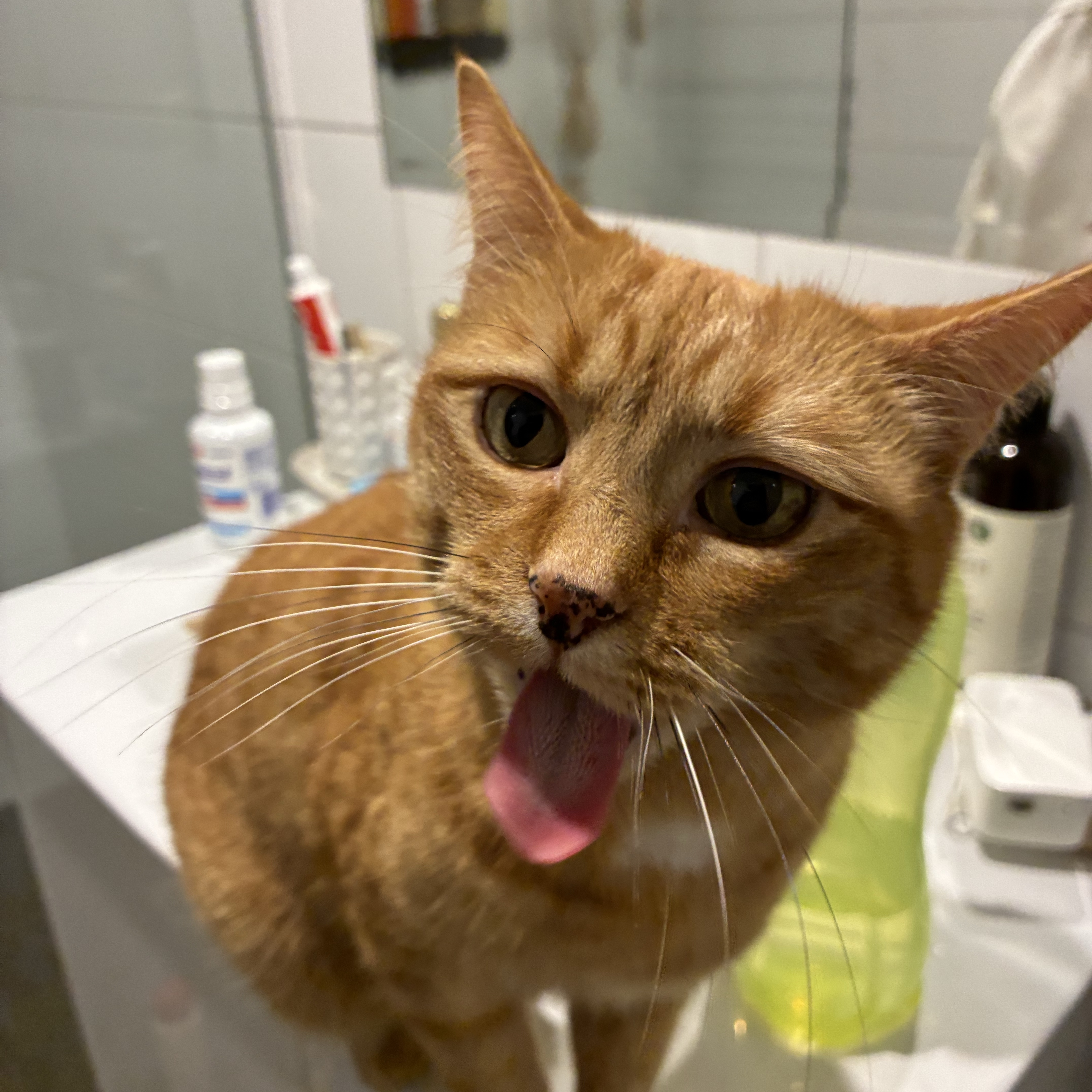Nala