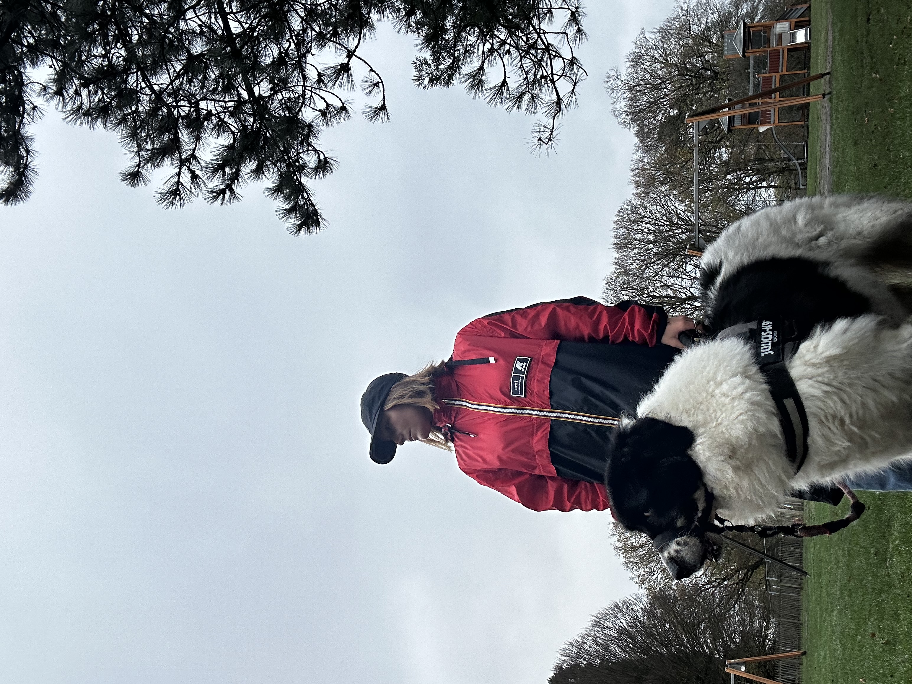 image-6