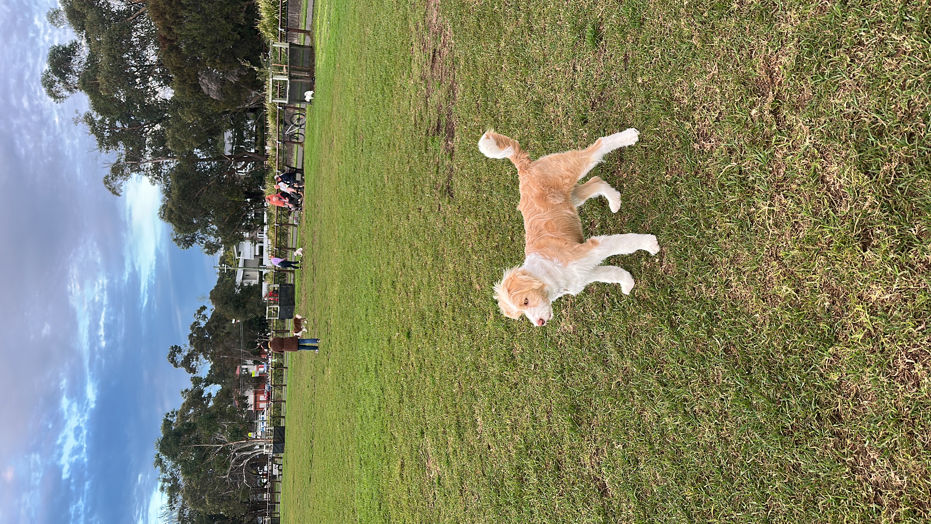 image-17