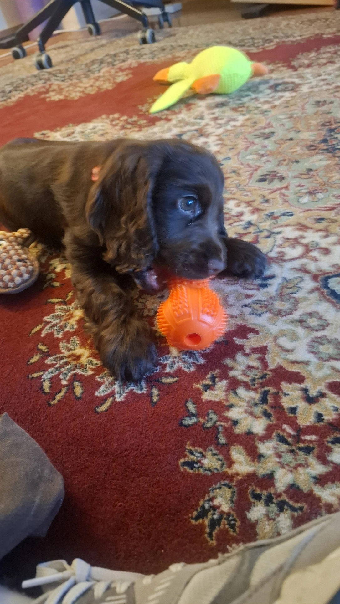 image-17