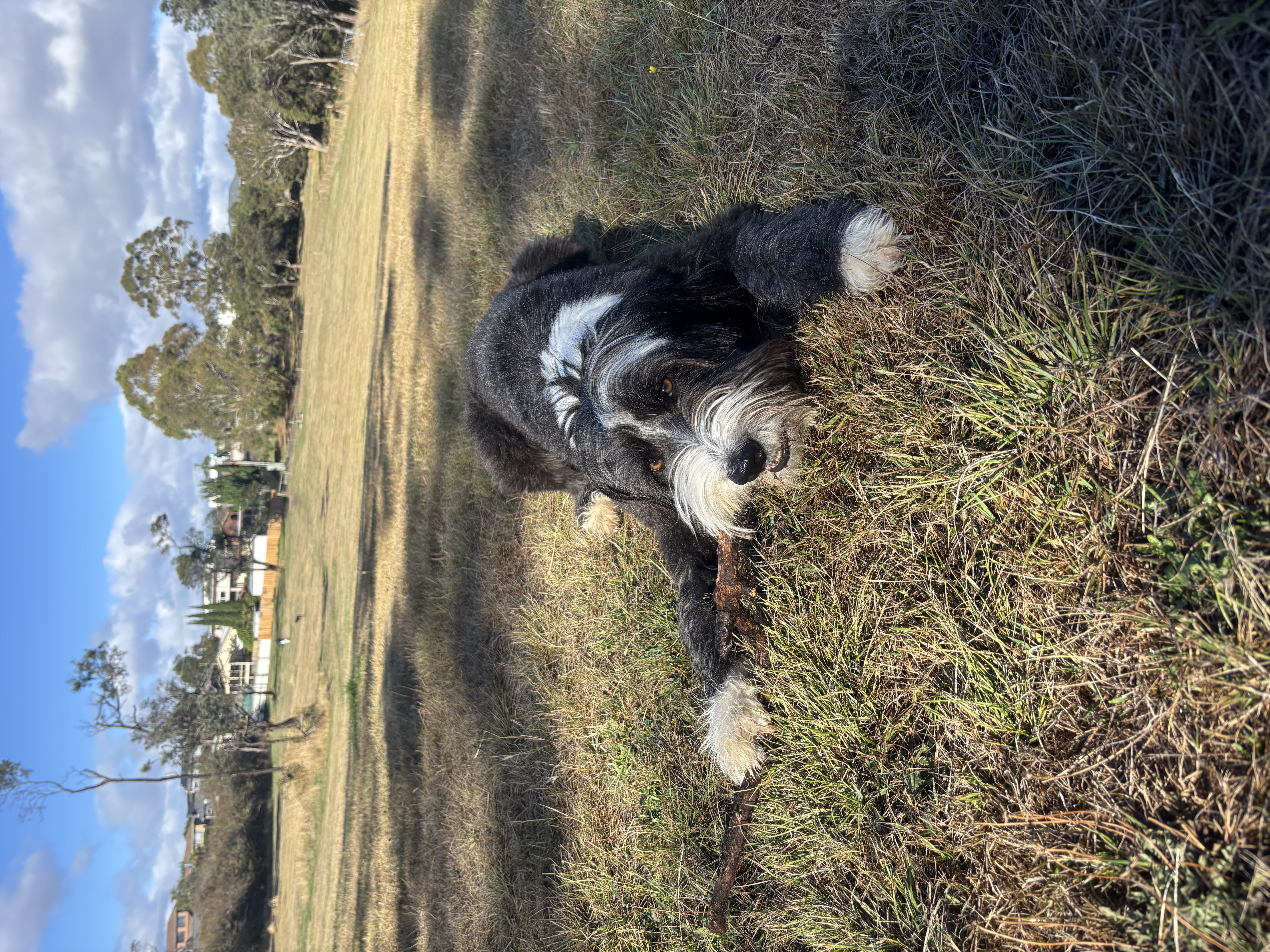 image-6