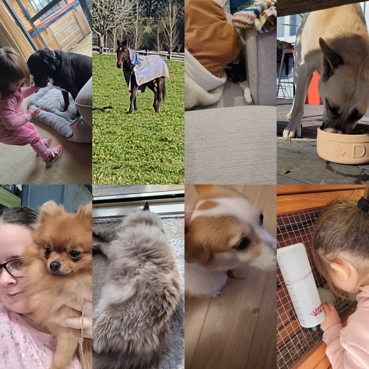 image-10