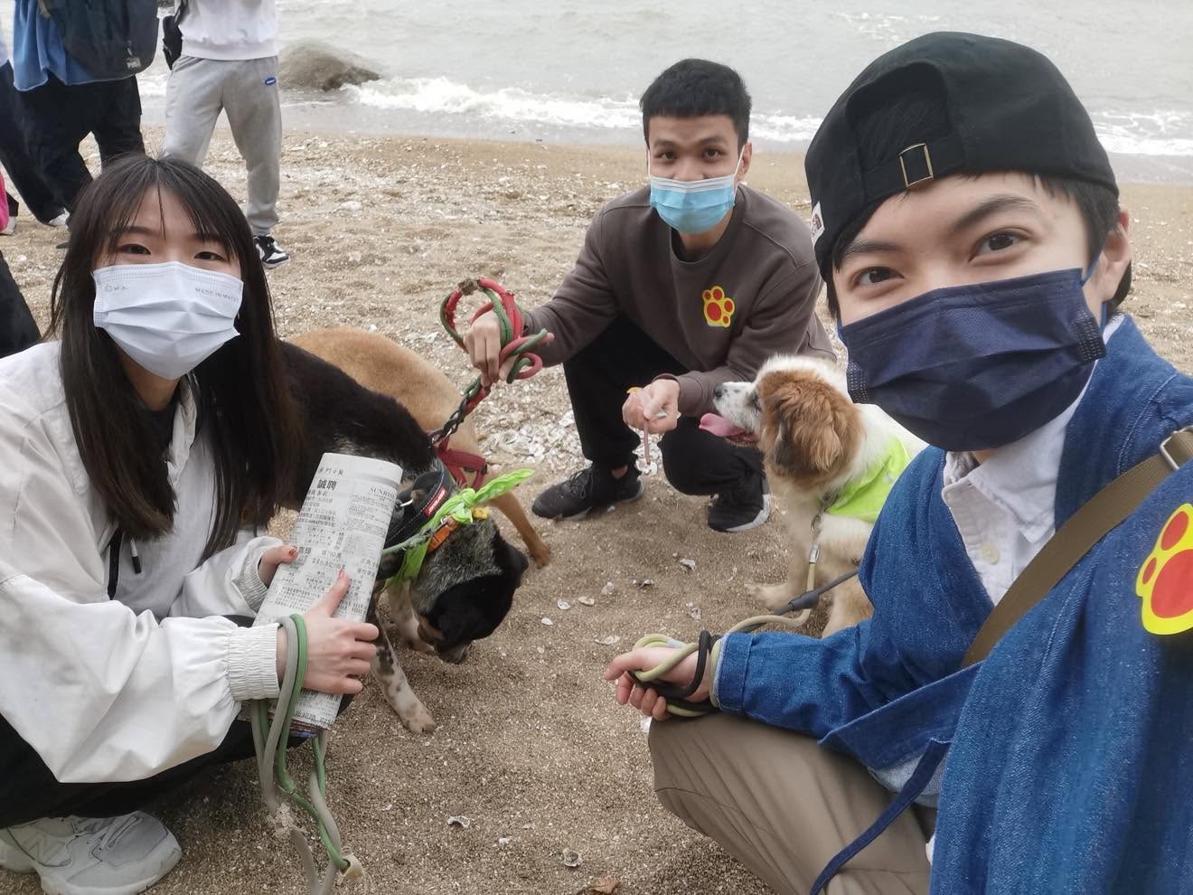 image-6