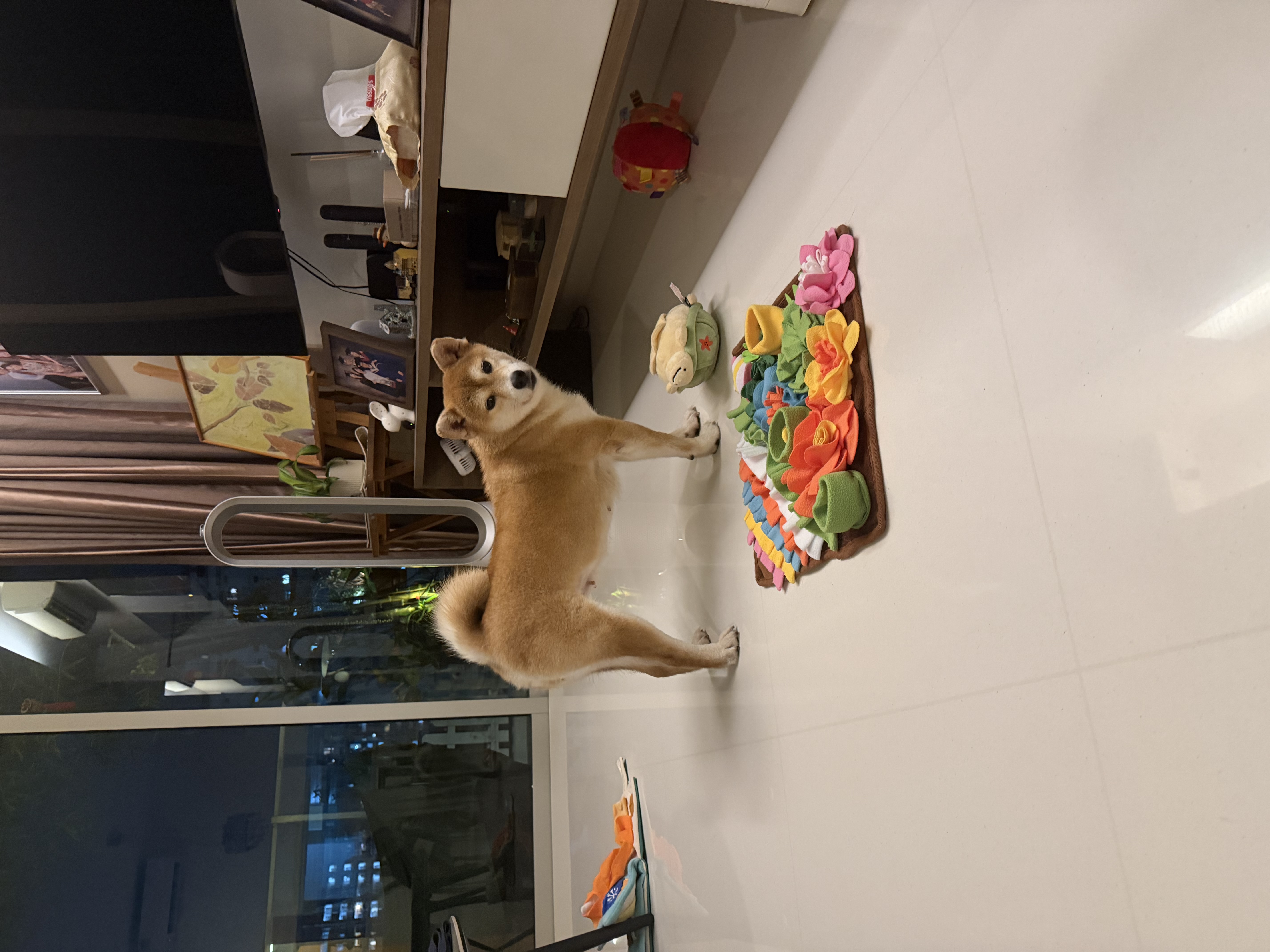 image-4