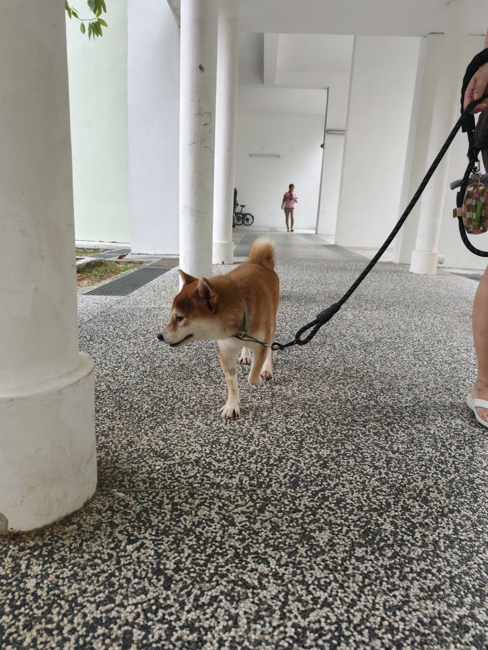 image-10