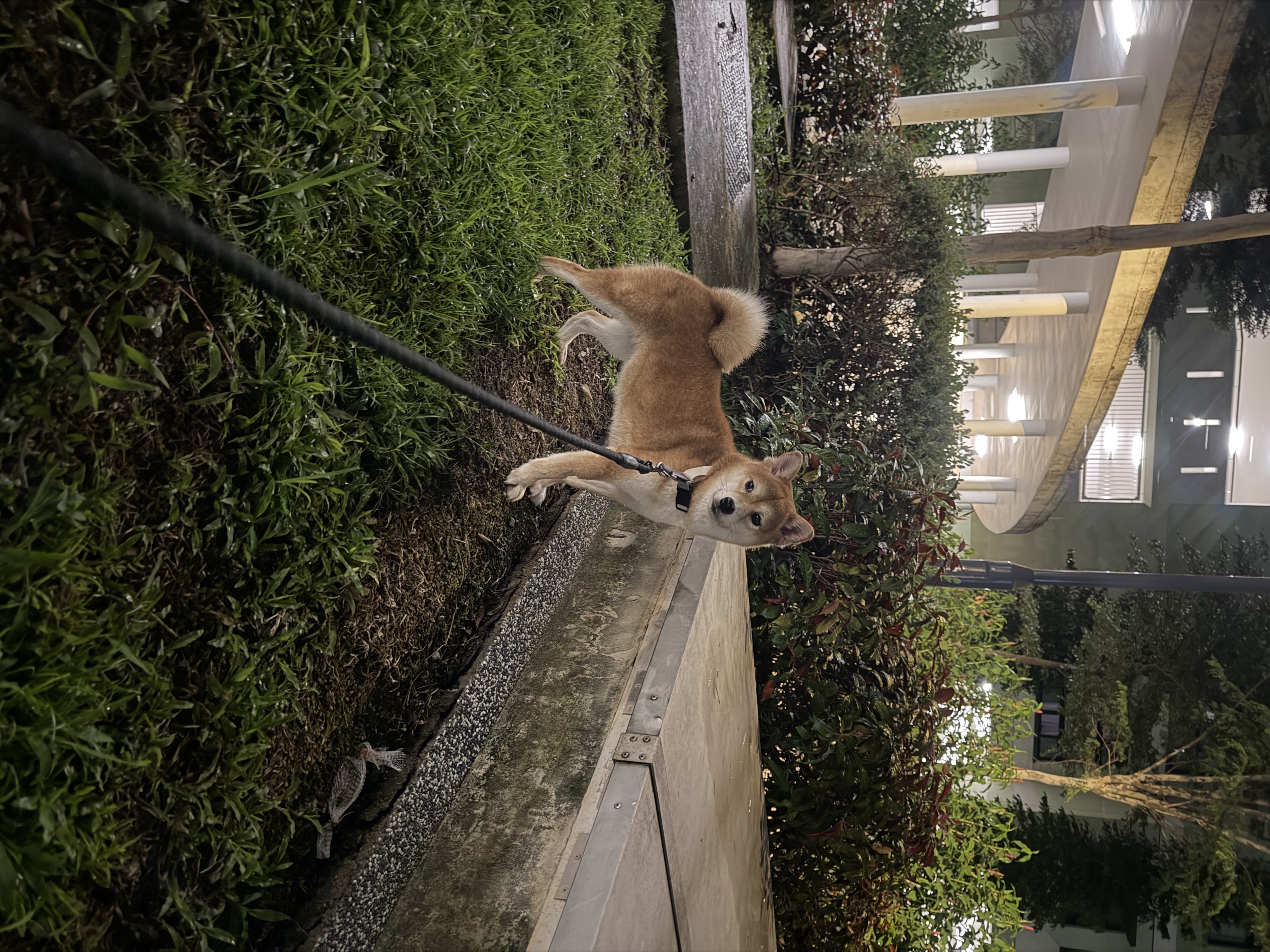 image-6