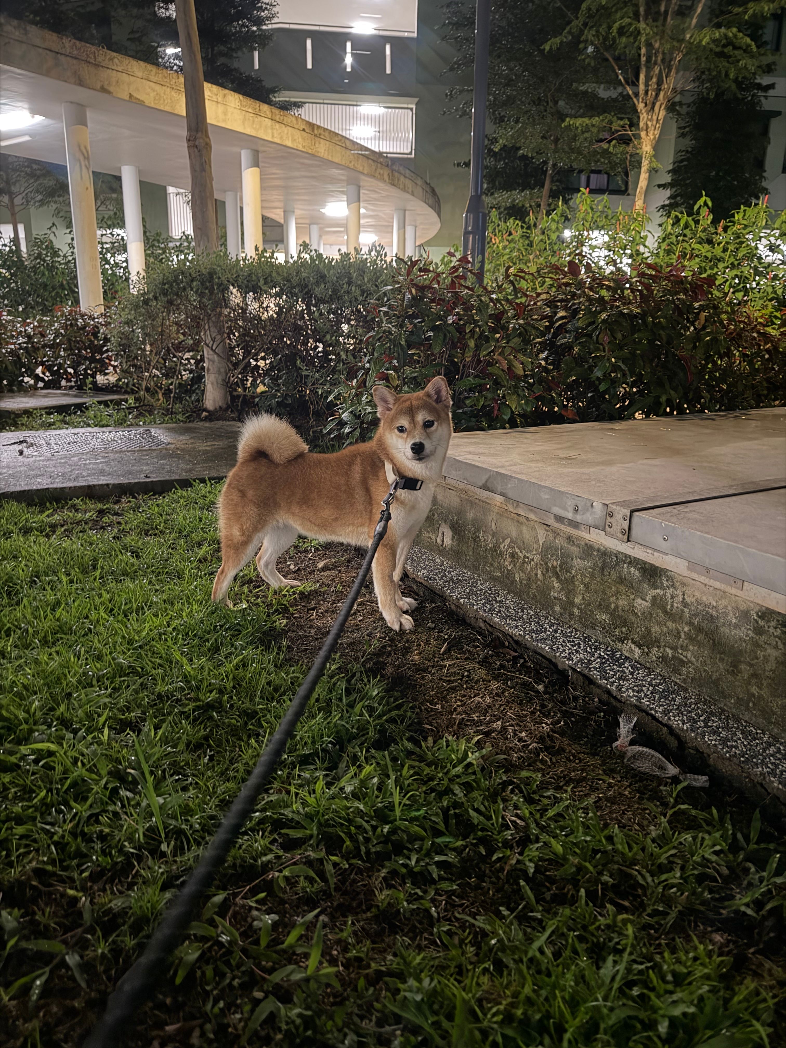 image-6