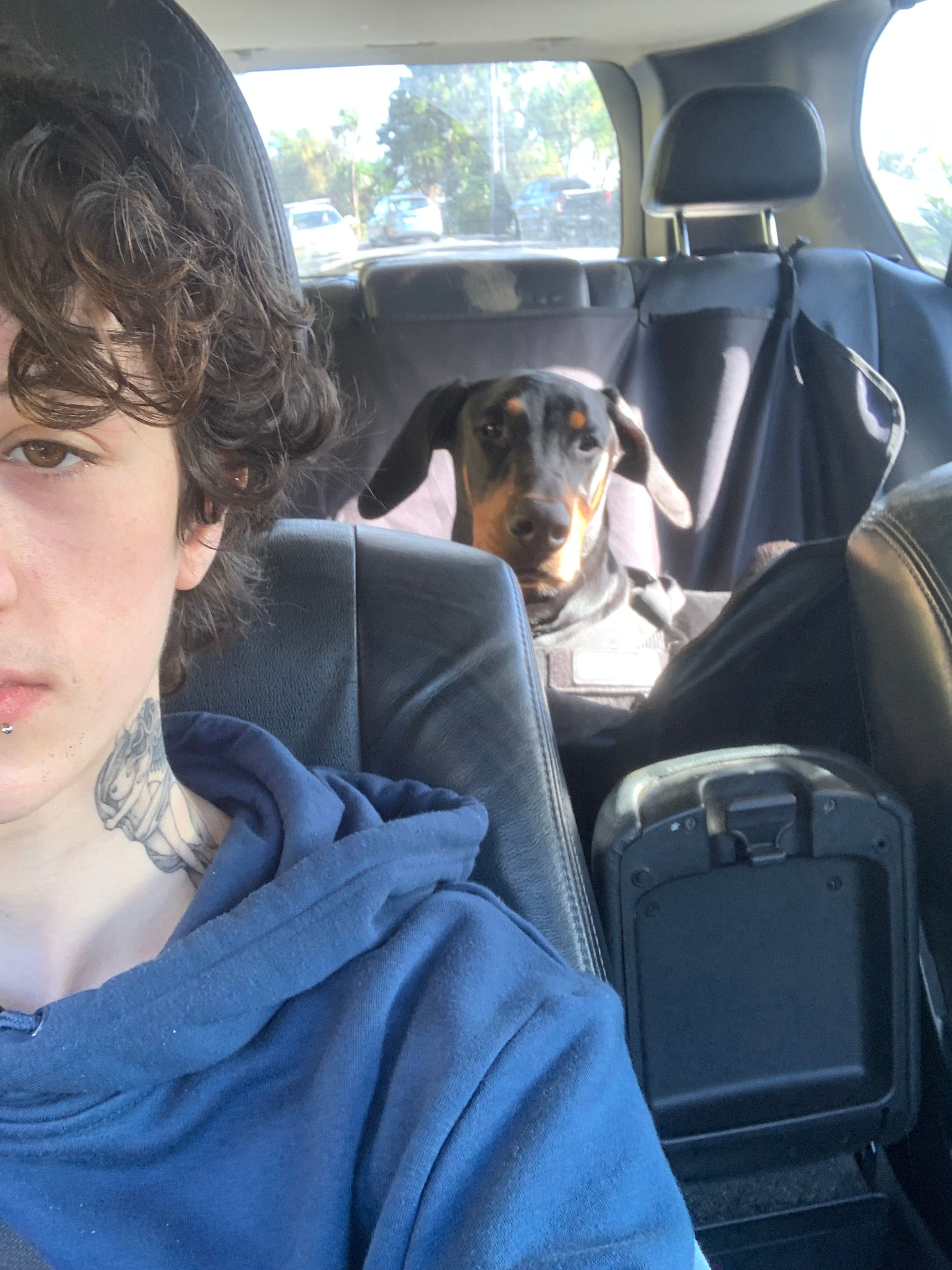 image-7