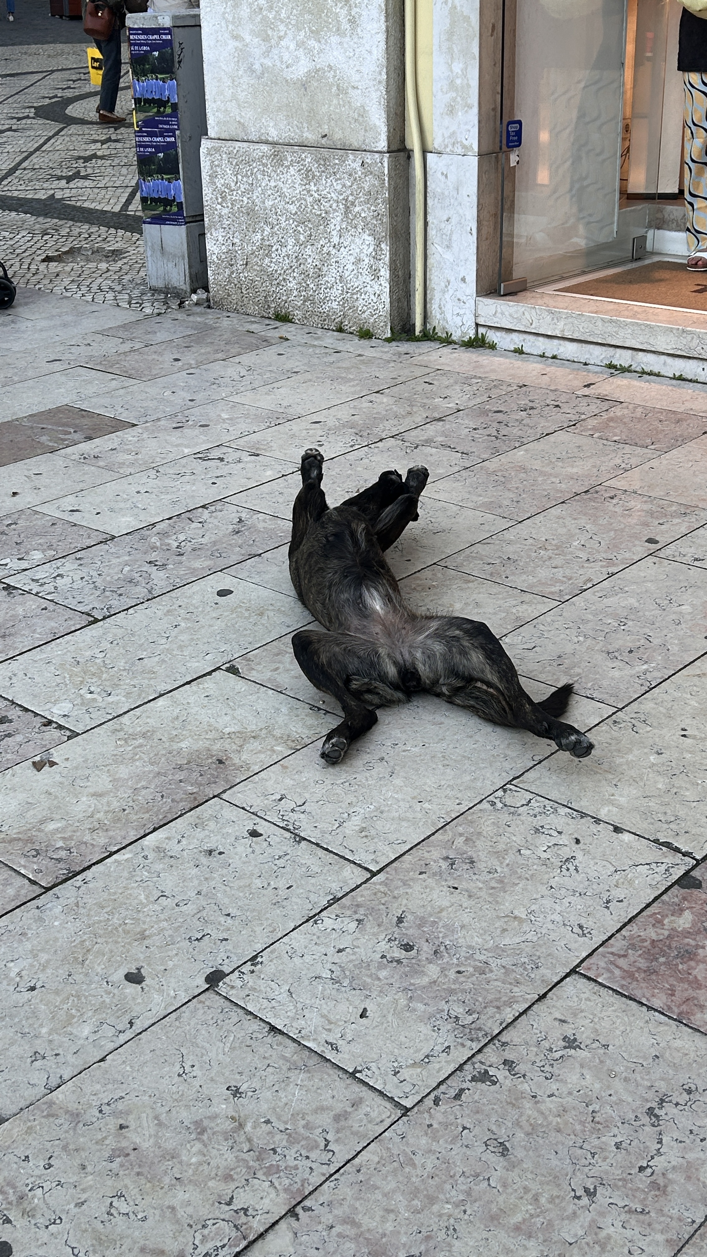 image-10