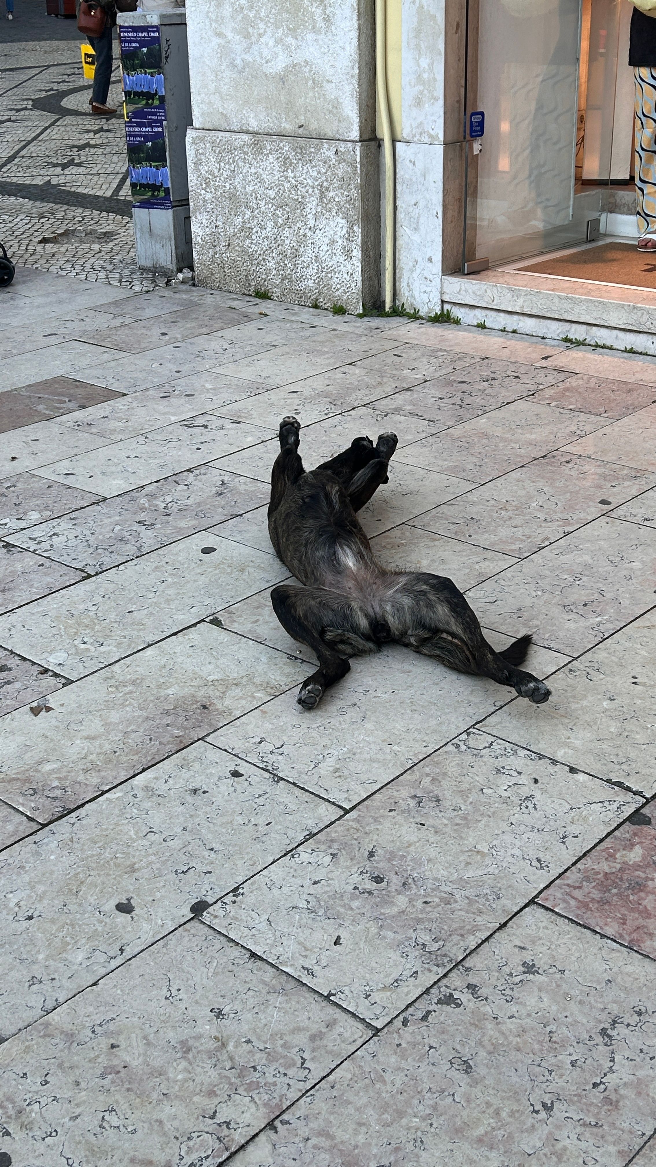 image-10