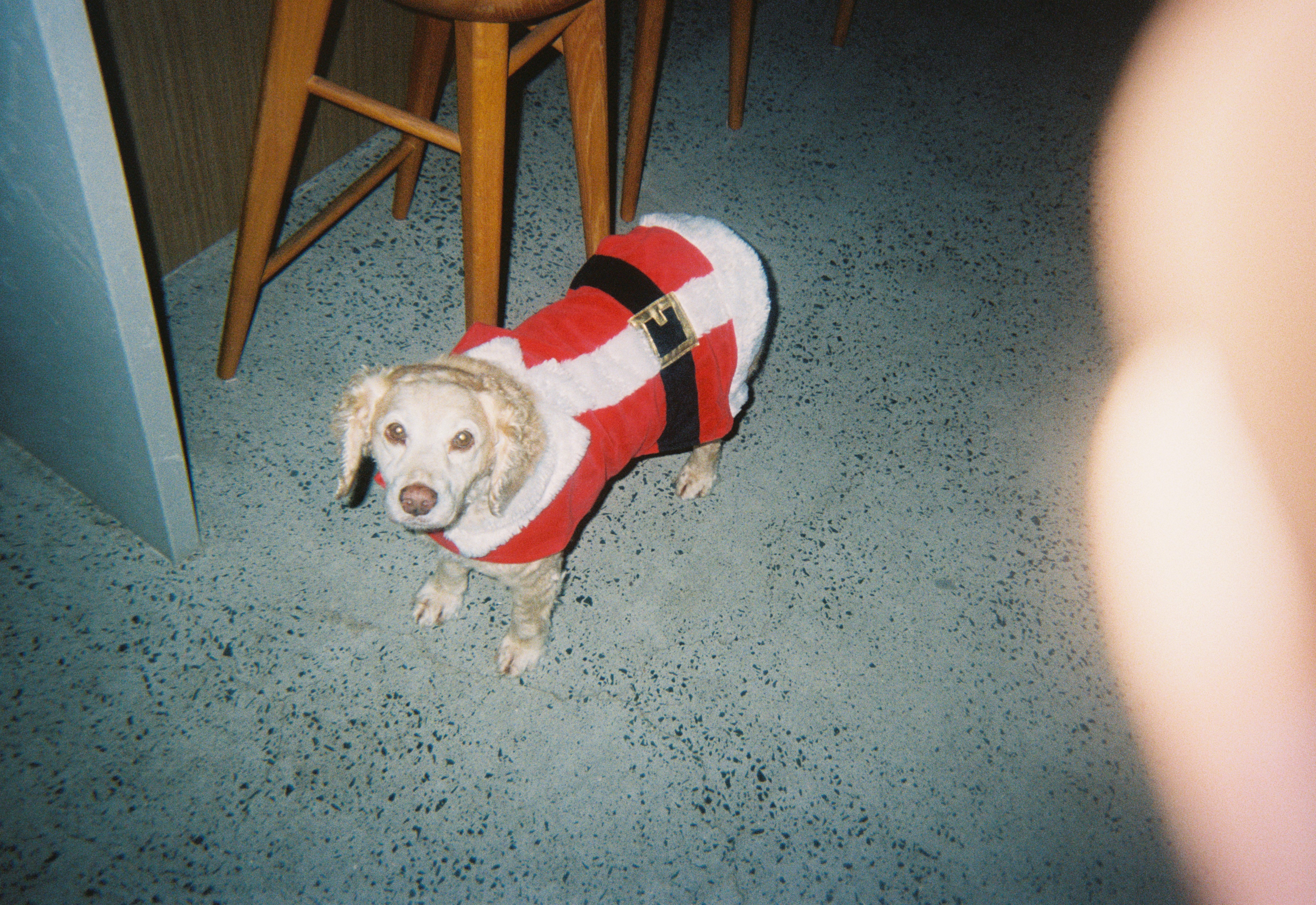 image-3