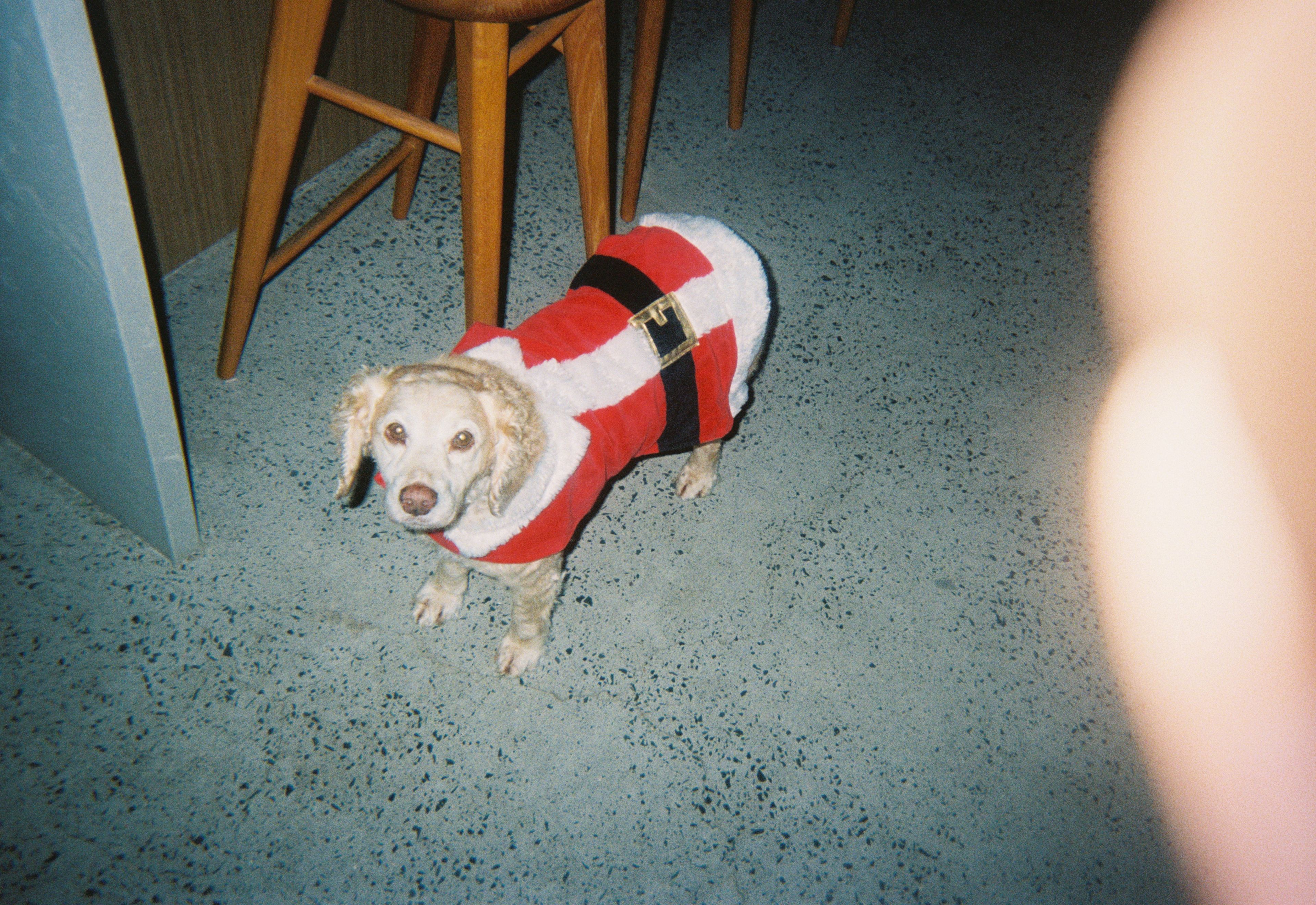 image-3