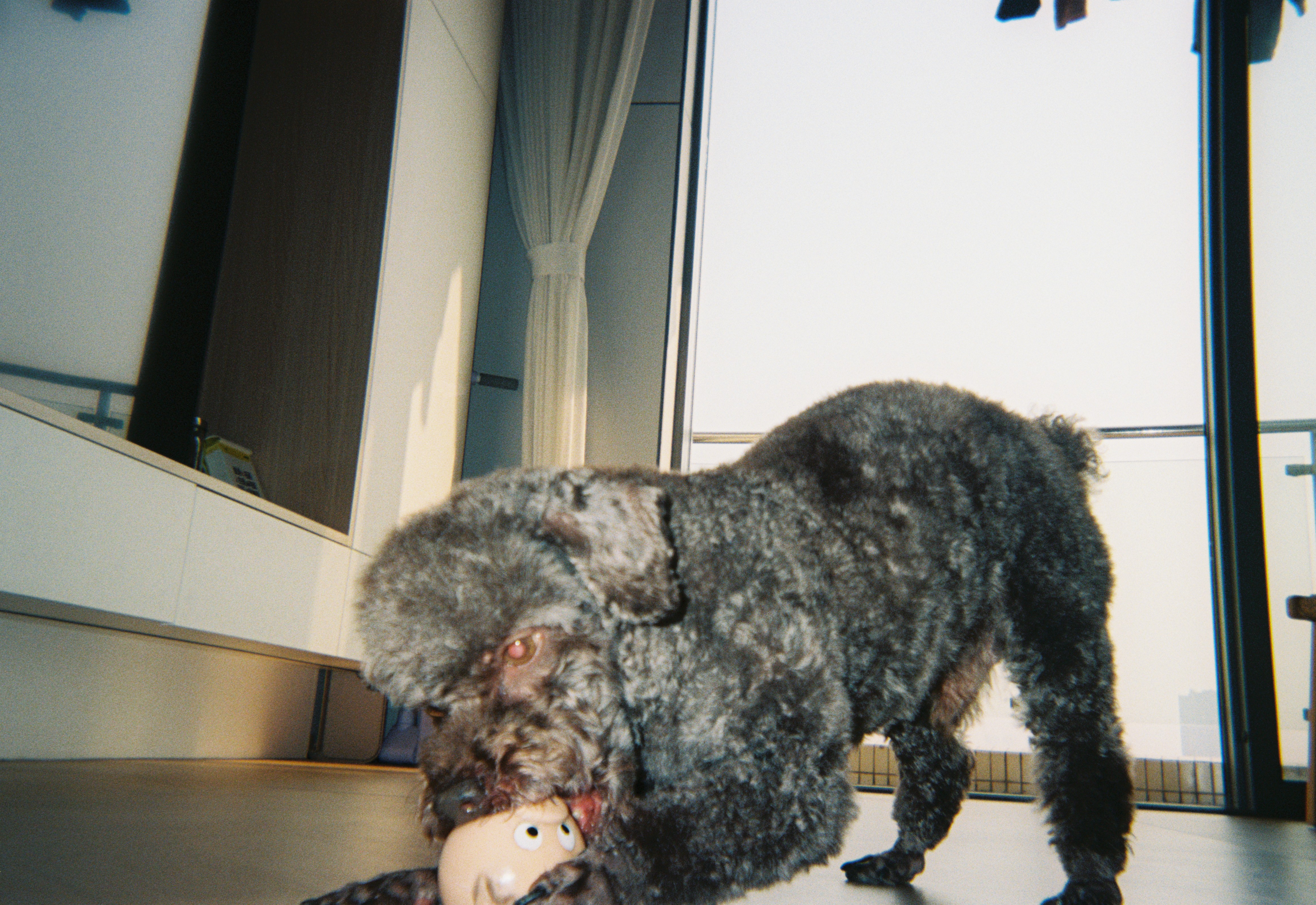 image-4