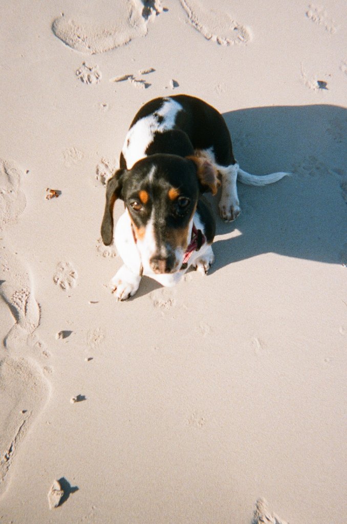 image-4