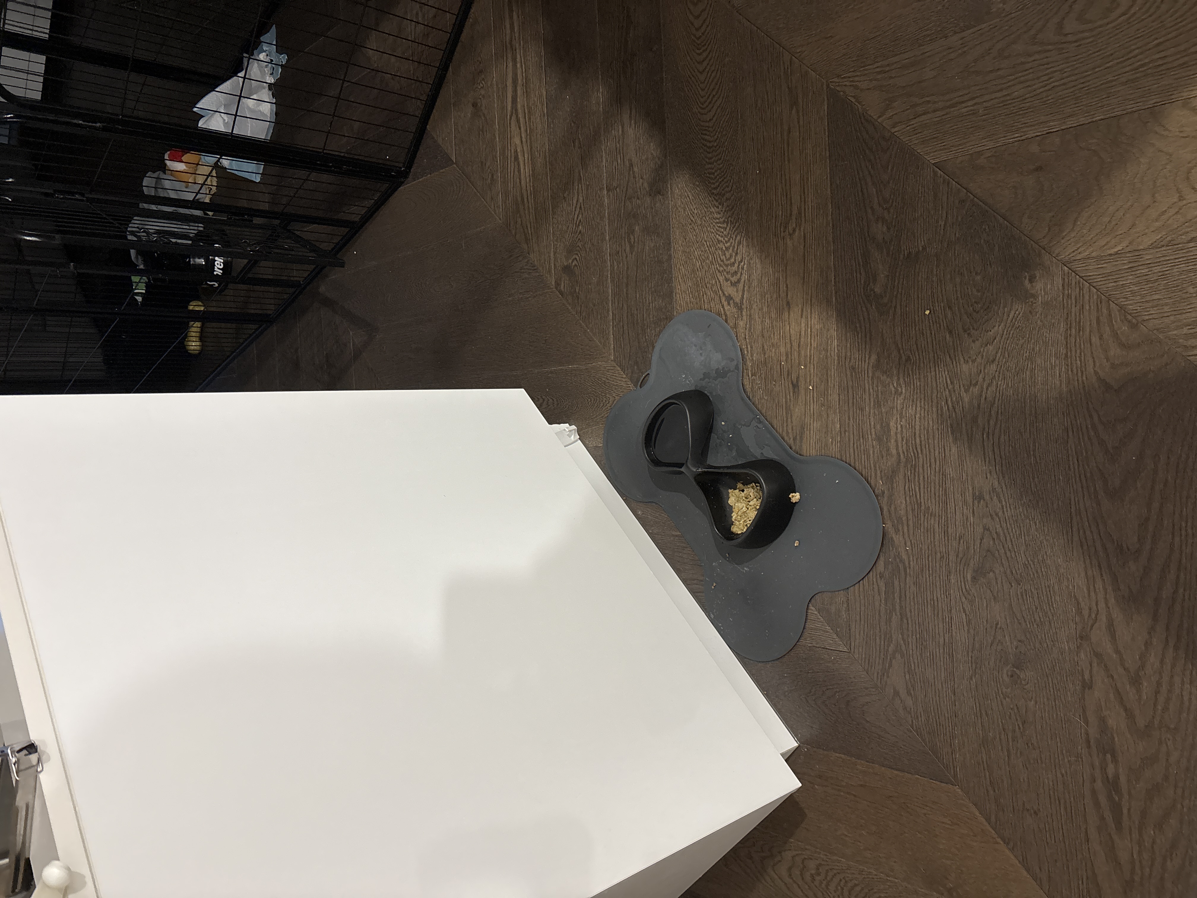 image-11