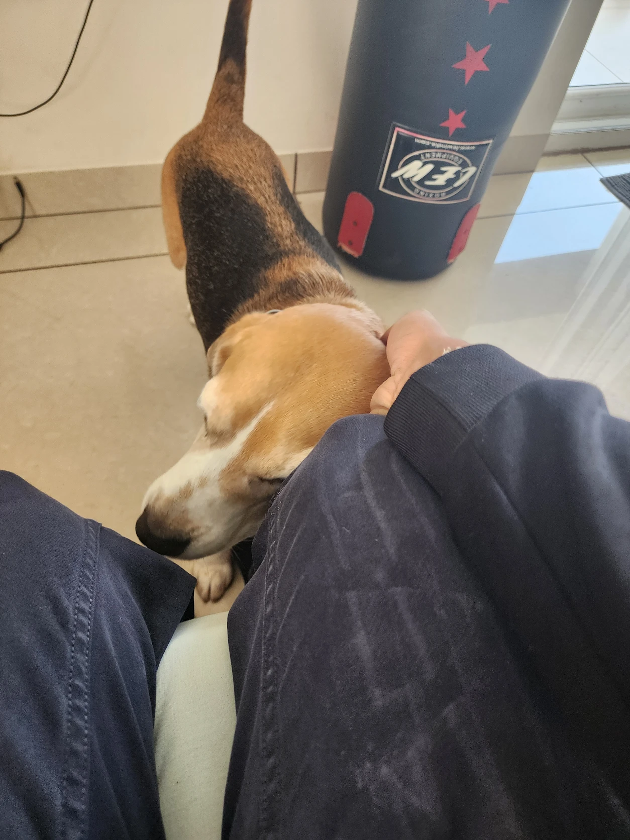 image-4